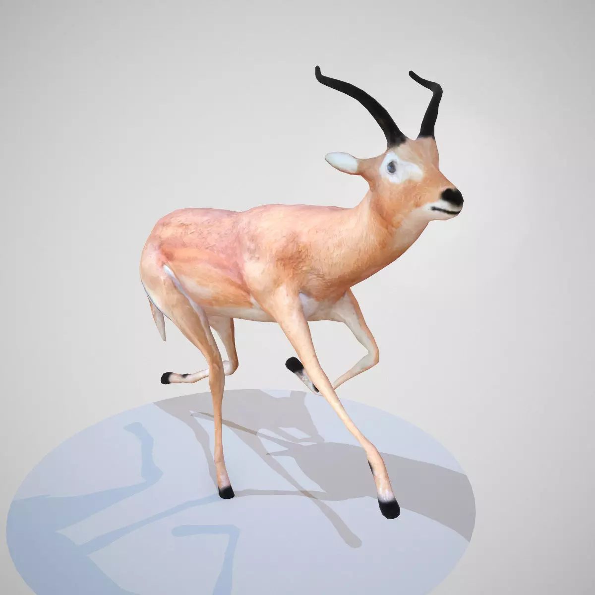 Impala Rigged Low-poly 3D model_0