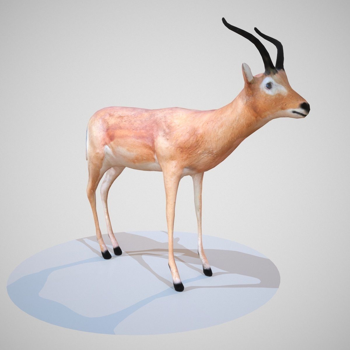 Impala Rigged Low-poly 3D model_1
