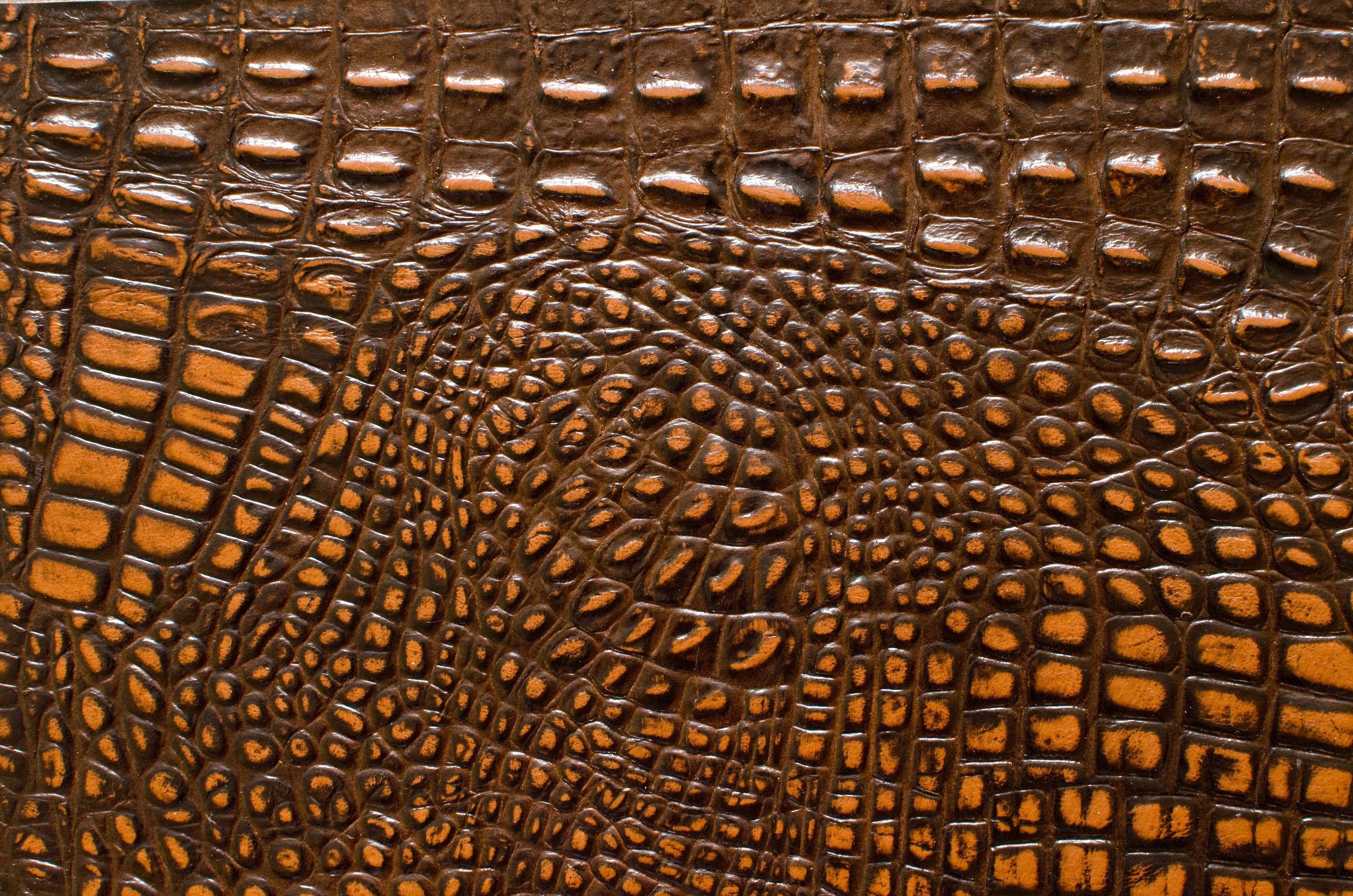 Dragon with wings  3D model_7