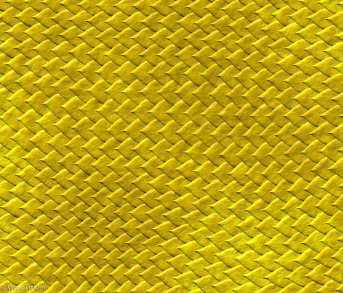 Dragon with wings  3D model_6