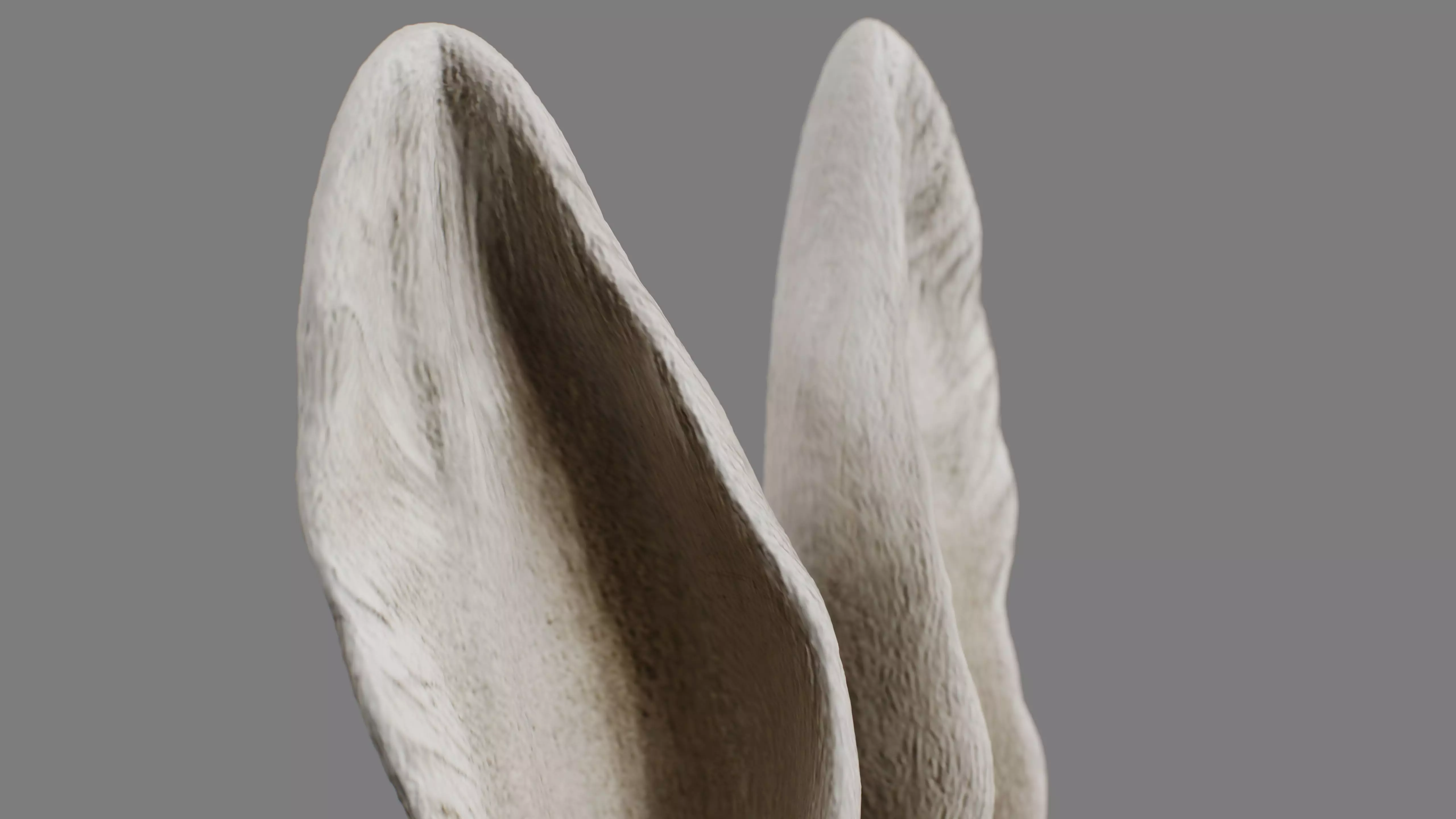 Rabbit Head Decoration 3D model_10