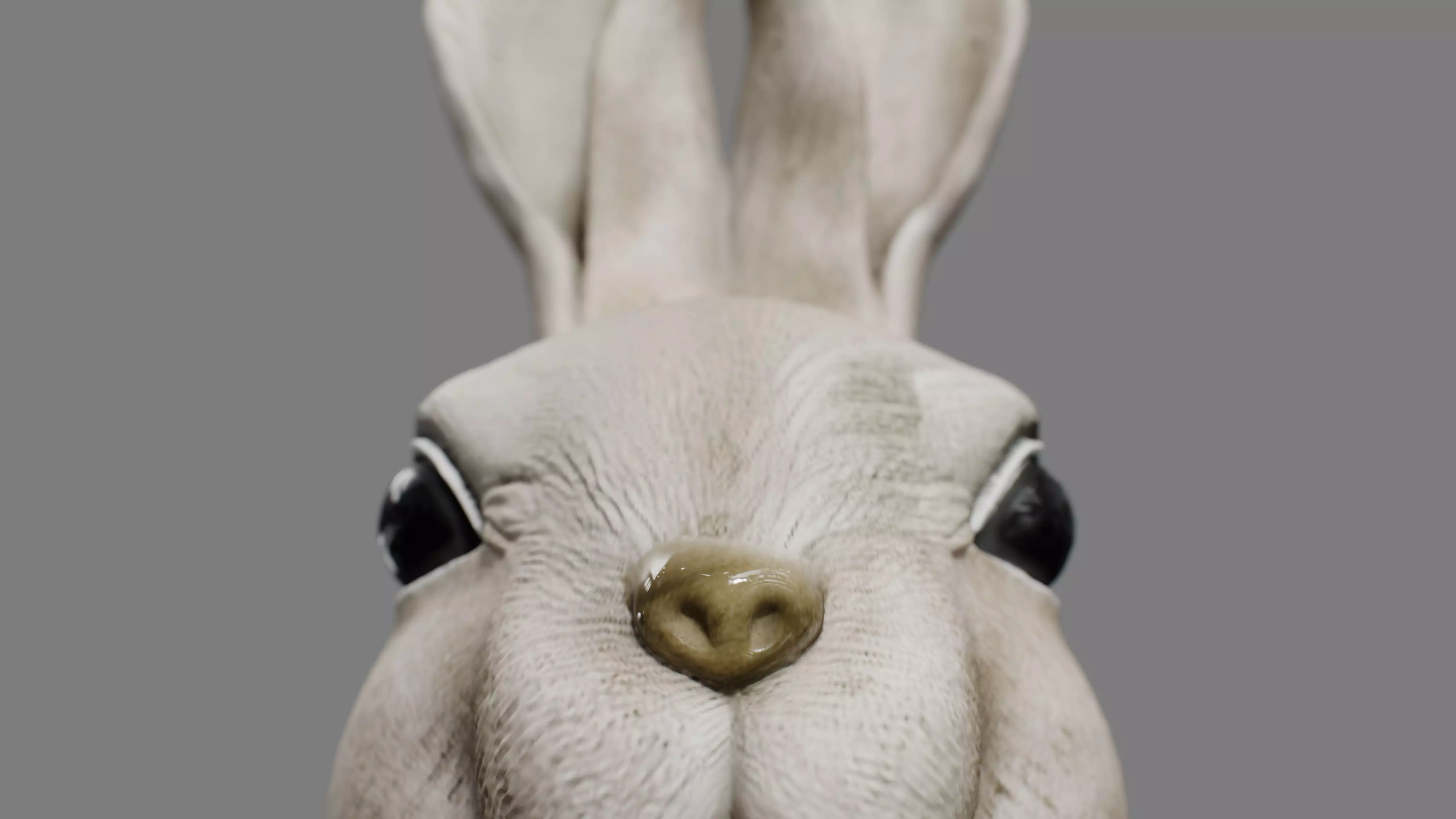 Rabbit Head Decoration 3D model_11