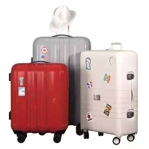 Luggage Set 3