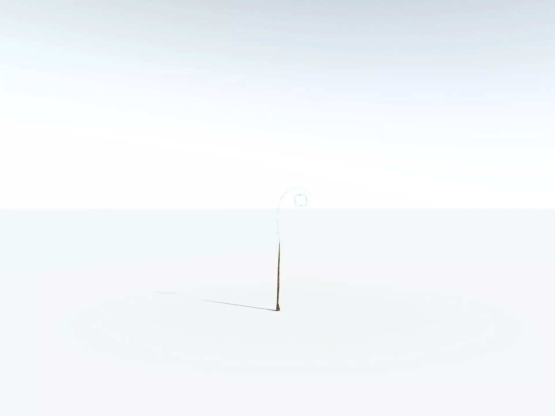 EVERYPlant Psaronius Simplex LowPoly Low-poly 3D model_31