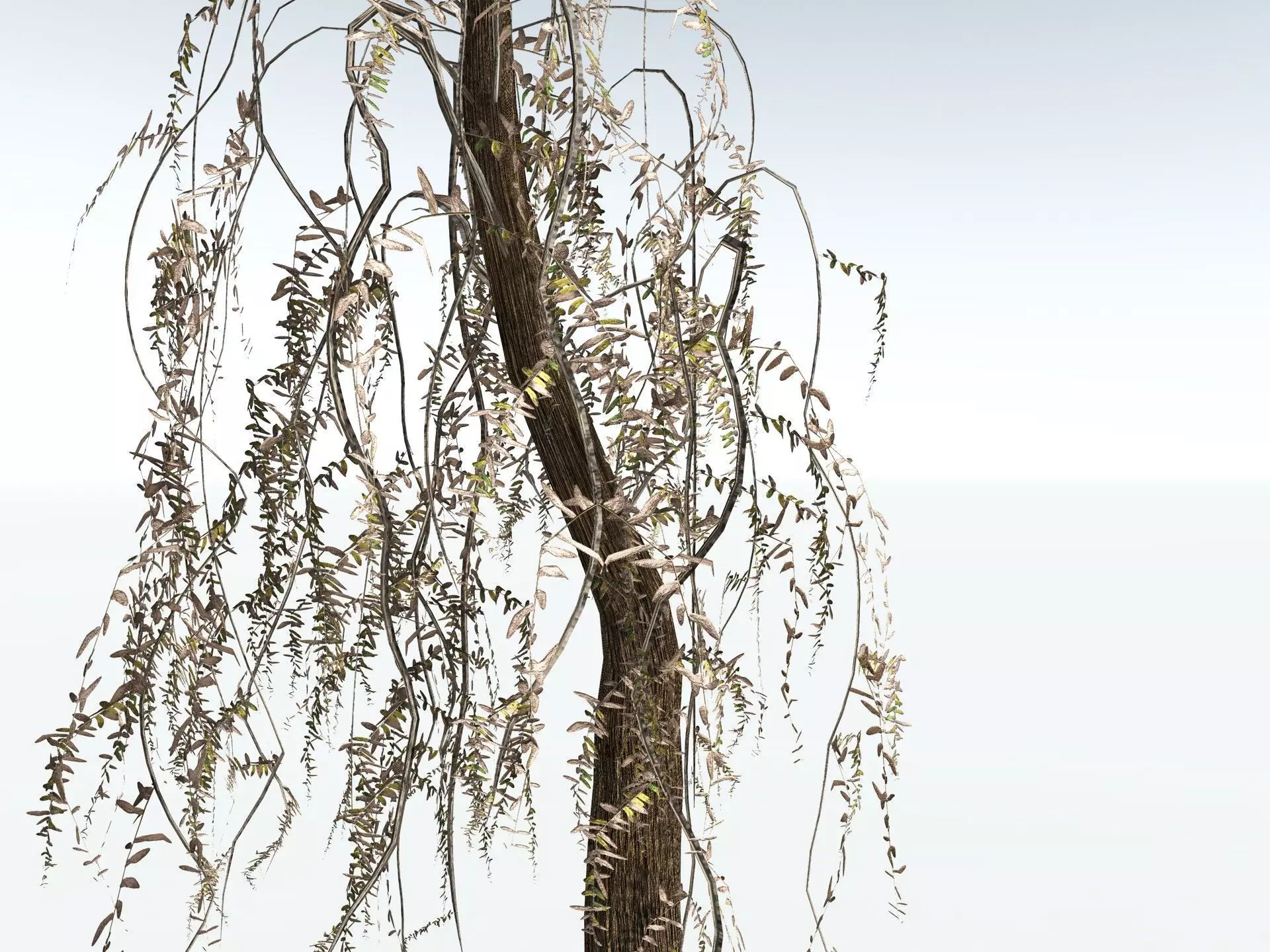 EVERYPlant Psaronius Simplex LowPoly Low-poly 3D model_19