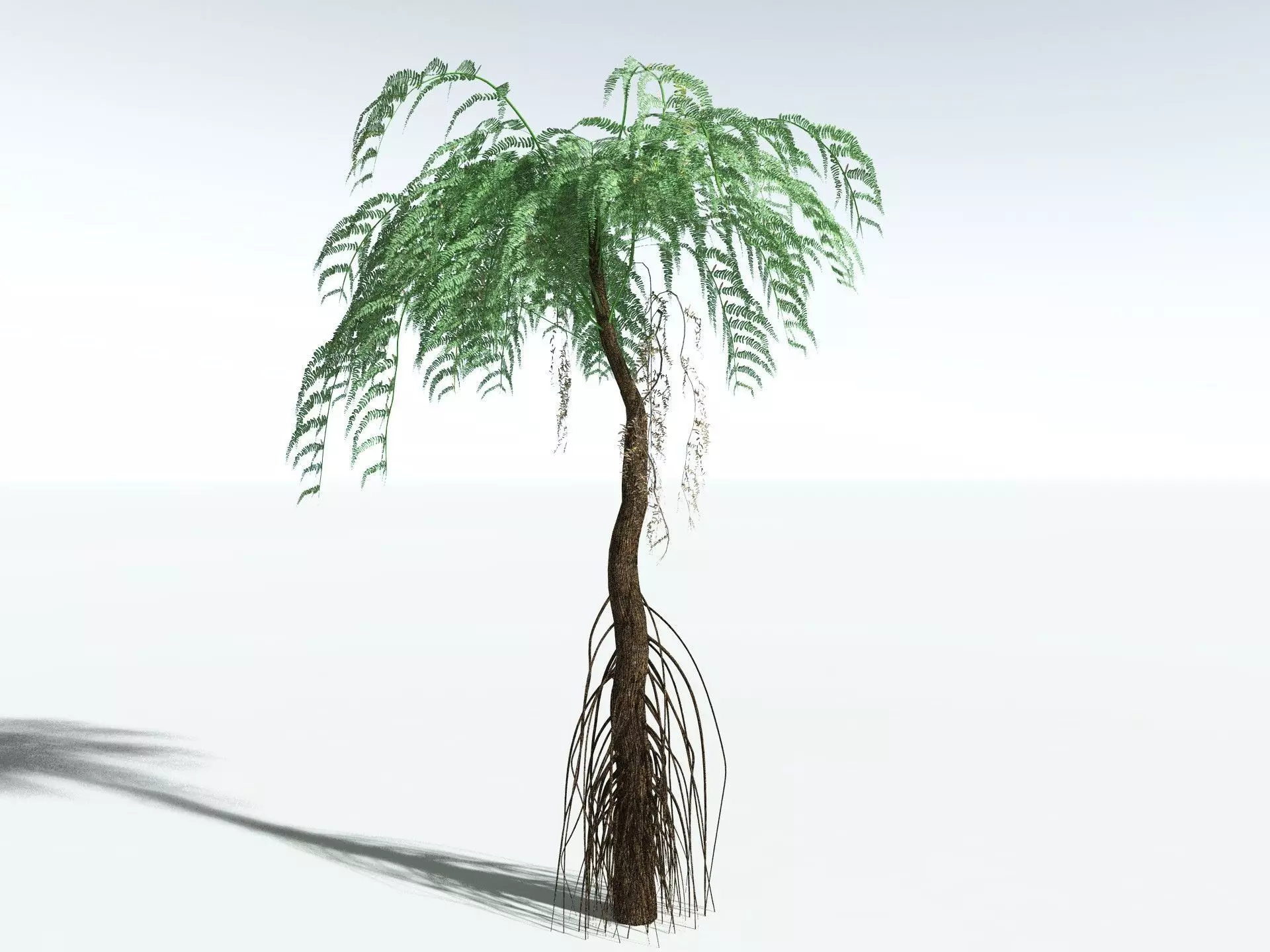 EVERYPlant Psaronius Simplex LowPoly Low-poly 3D model_8