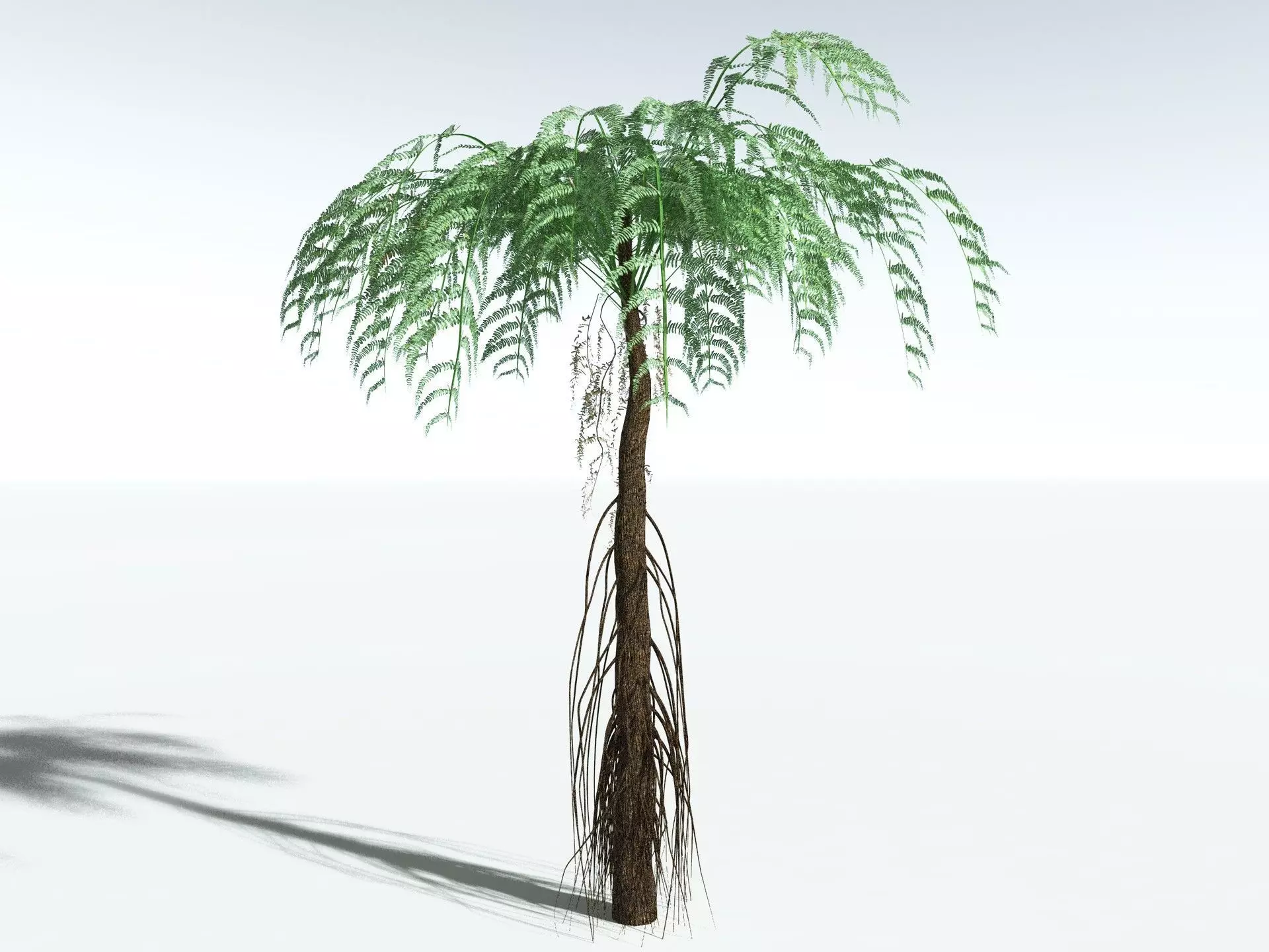 EVERYPlant Psaronius Simplex LowPoly Low-poly 3D model_4
