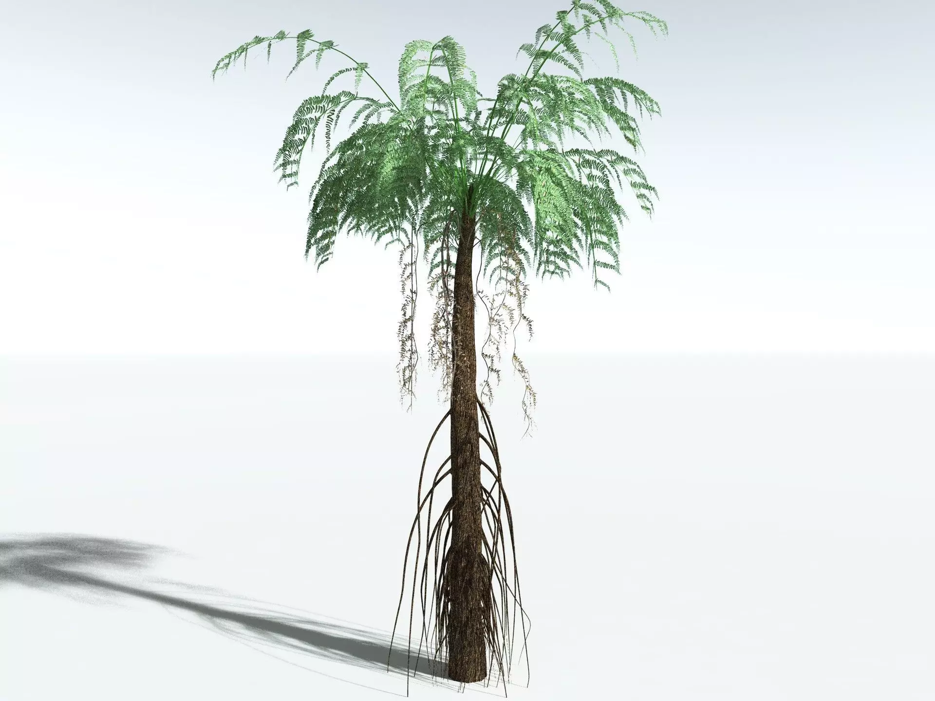 EVERYPlant Psaronius Simplex LowPoly Low-poly 3D model_2