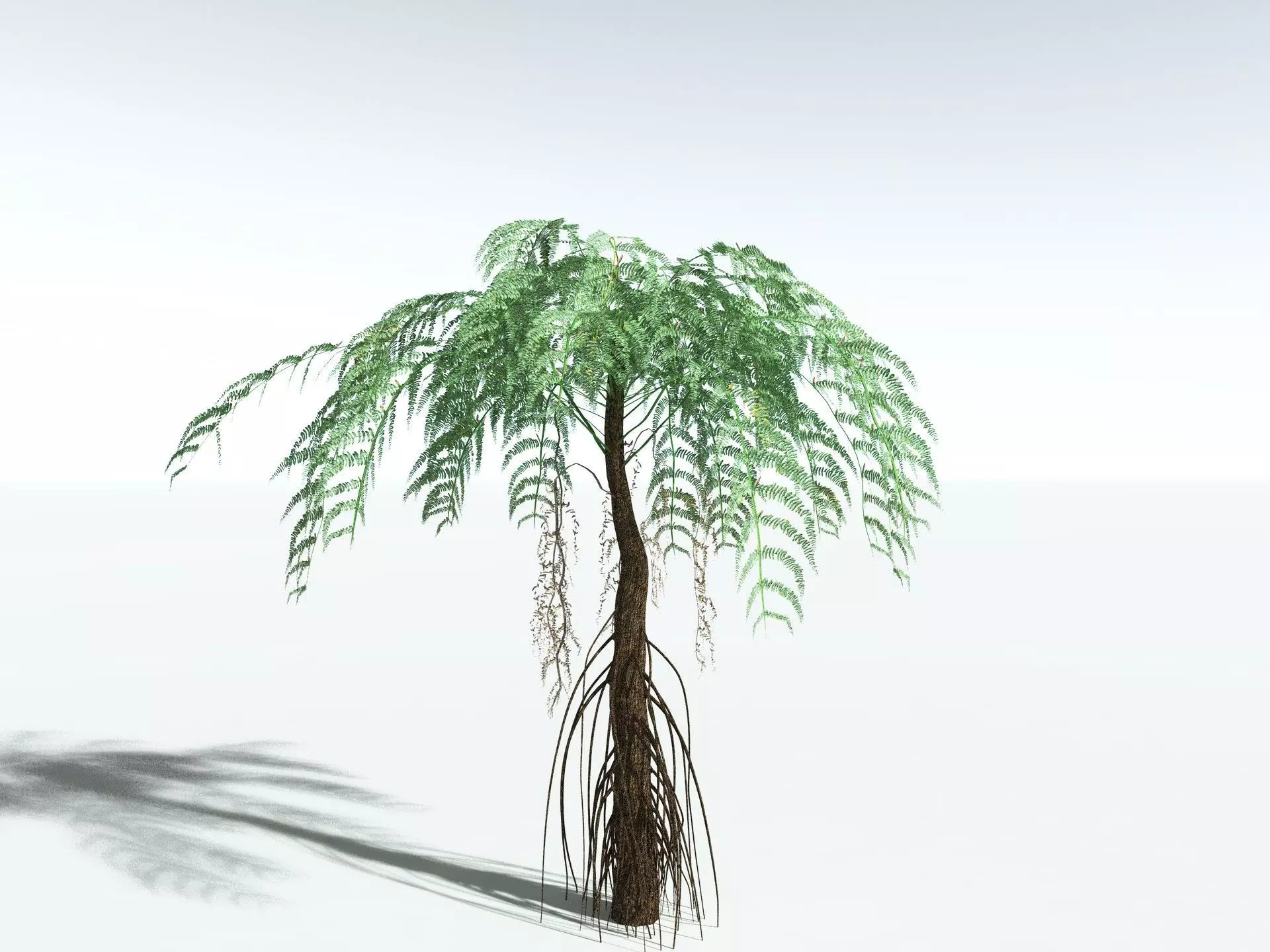 EVERYPlant Psaronius Simplex LowPoly Low-poly 3D model_0