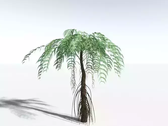 EVERYPlant Psaronius Simplex LowPoly Low-poly 3D model EVERYPlant Psaronius Simplex LowPoly Low-poly 3D model