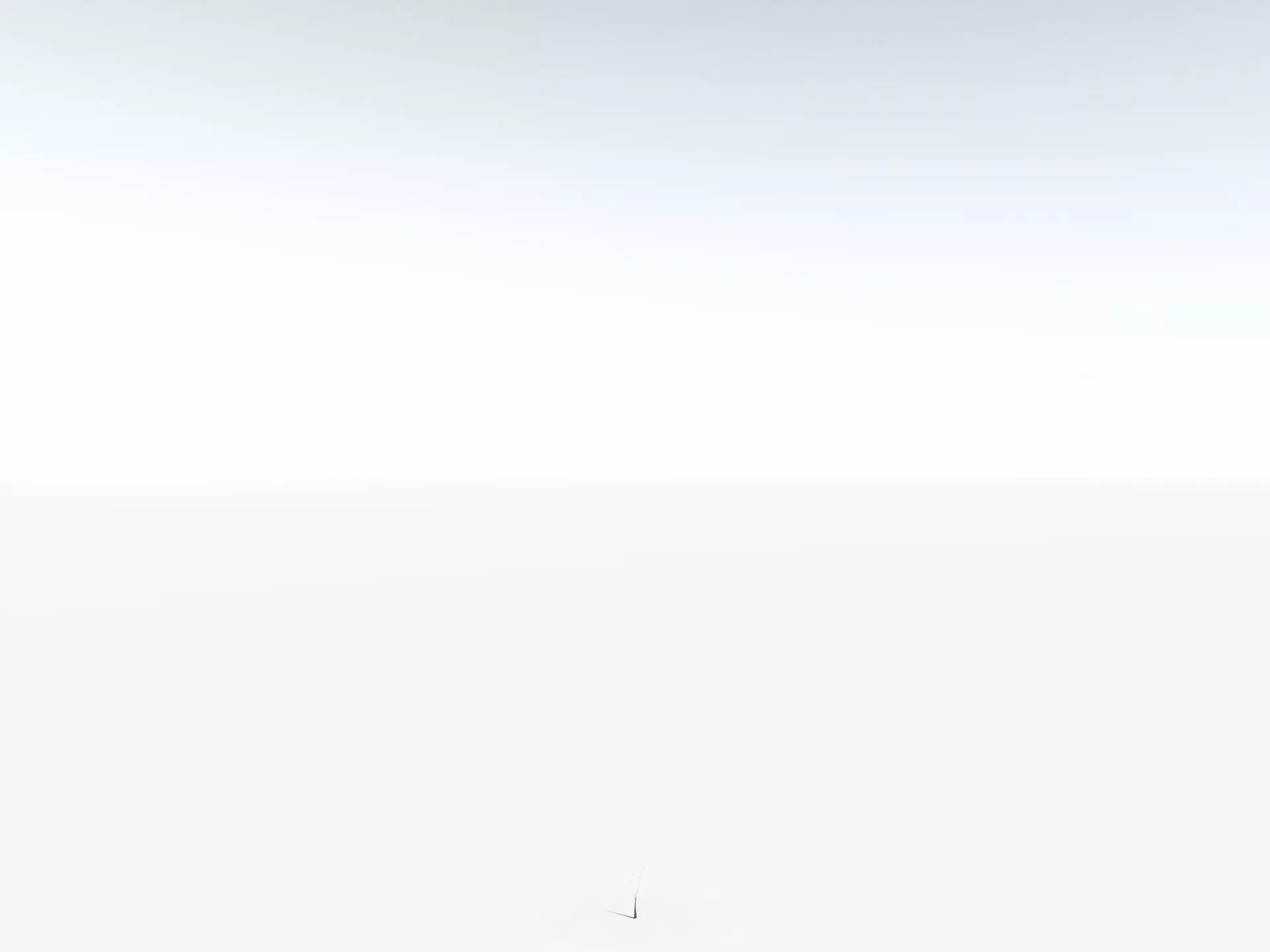 EVERYPlant Psaronius Simplex LowPoly Low-poly 3D model_28