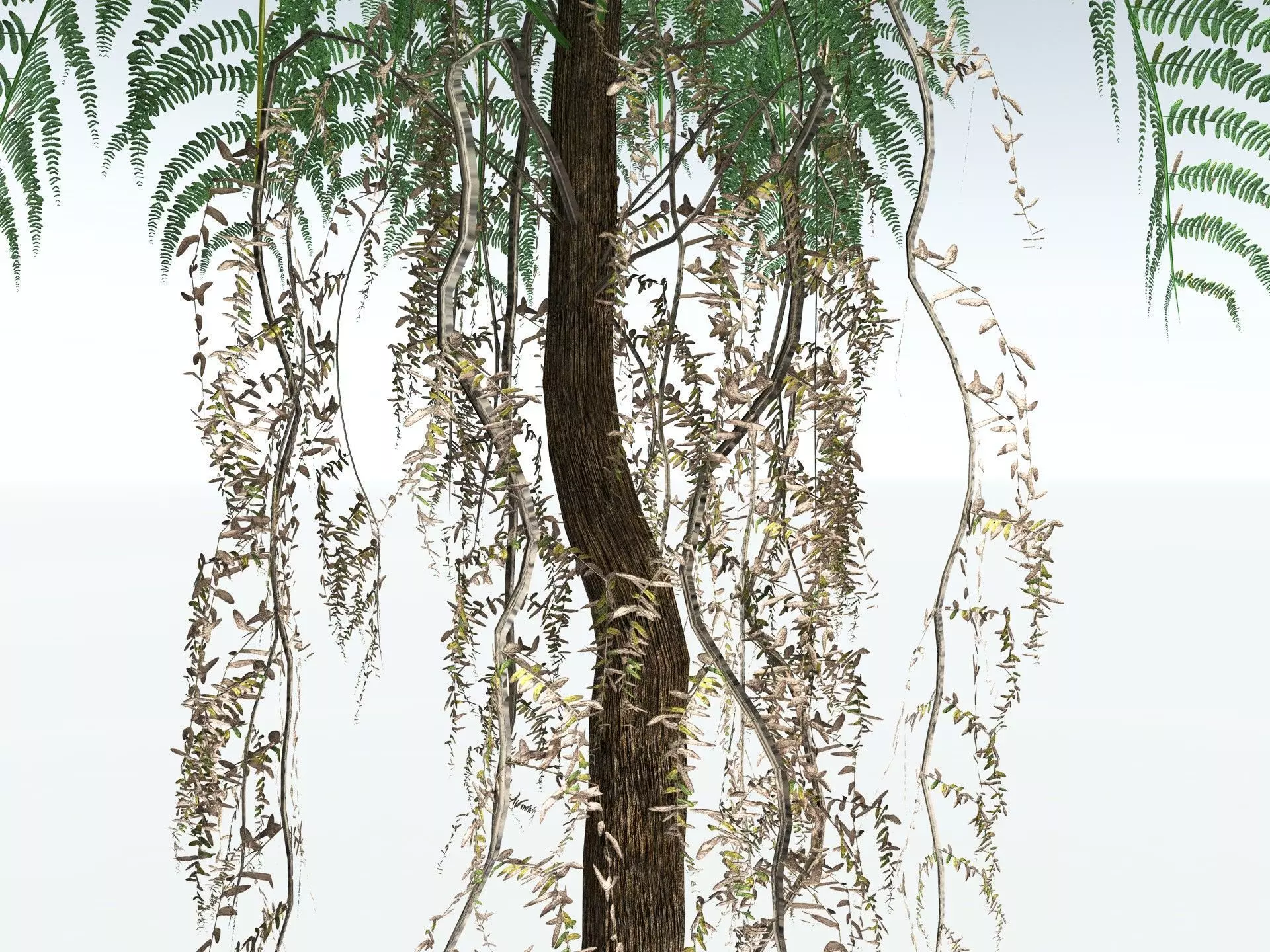 EVERYPlant Psaronius Simplex LowPoly Low-poly 3D model_21