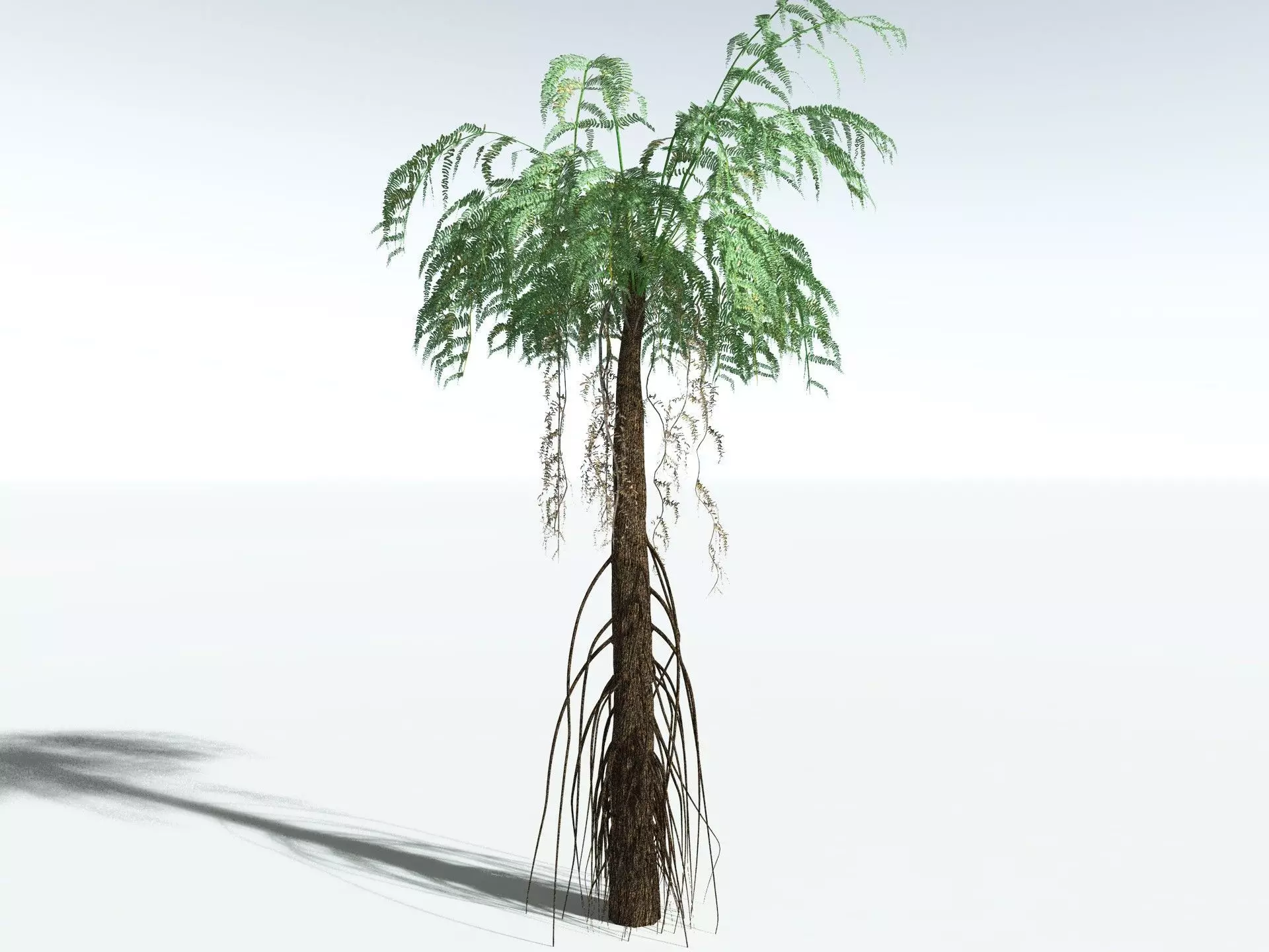 EVERYPlant Psaronius Simplex LowPoly Low-poly 3D model_12