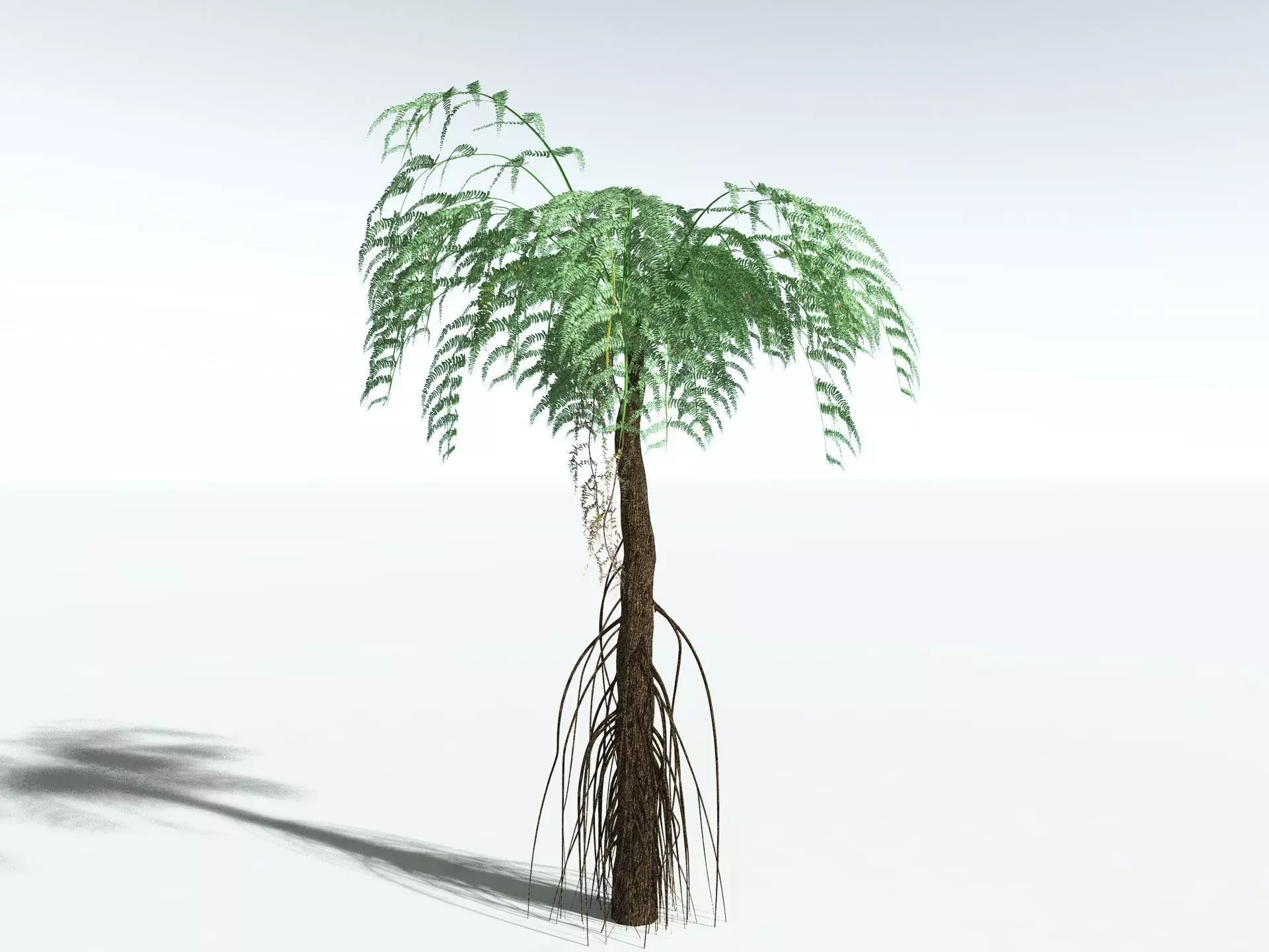 EVERYPlant Psaronius Simplex LowPoly Low-poly 3D model_6