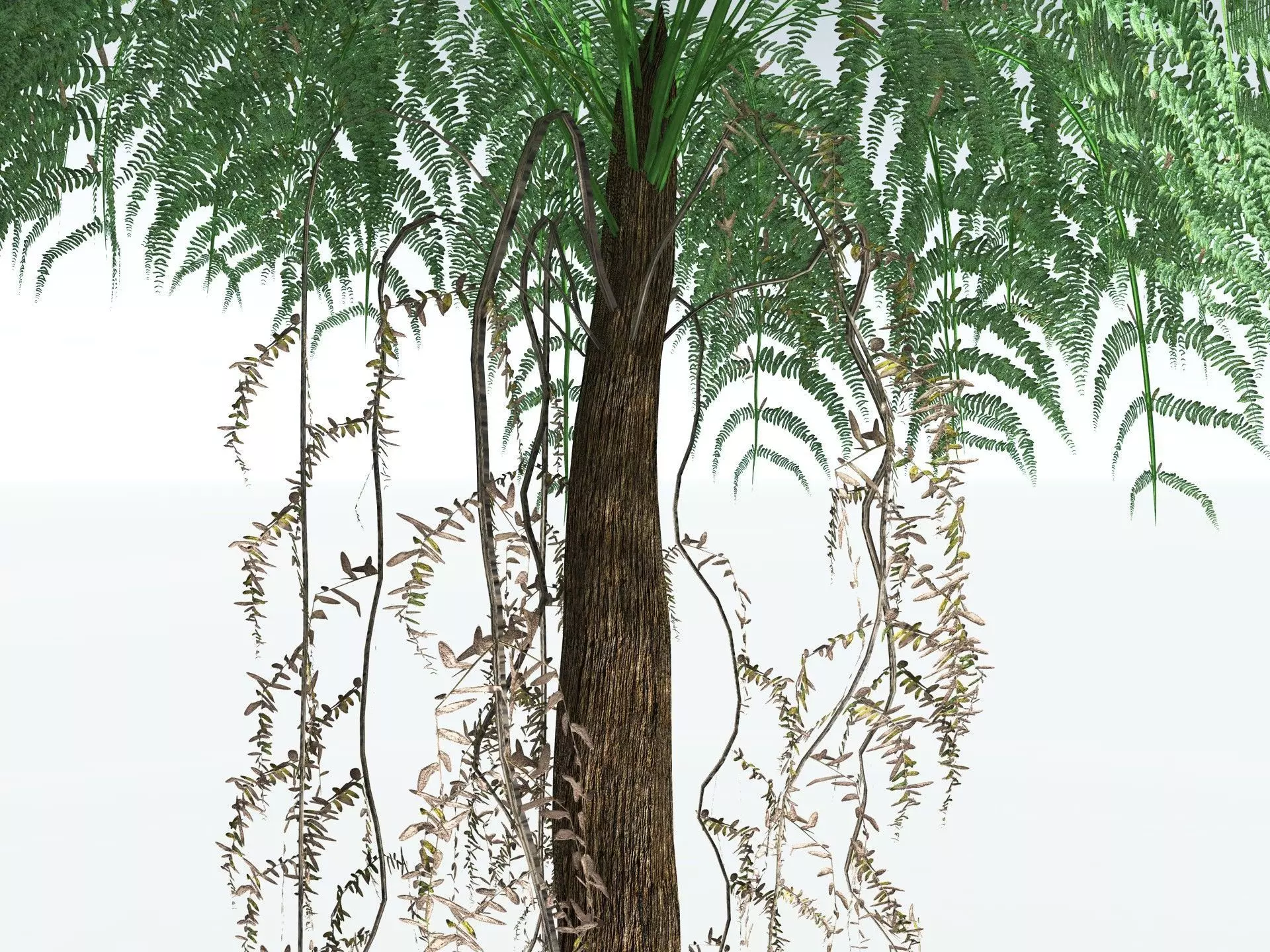 EVERYPlant Psaronius Simplex LowPoly Low-poly 3D model_3