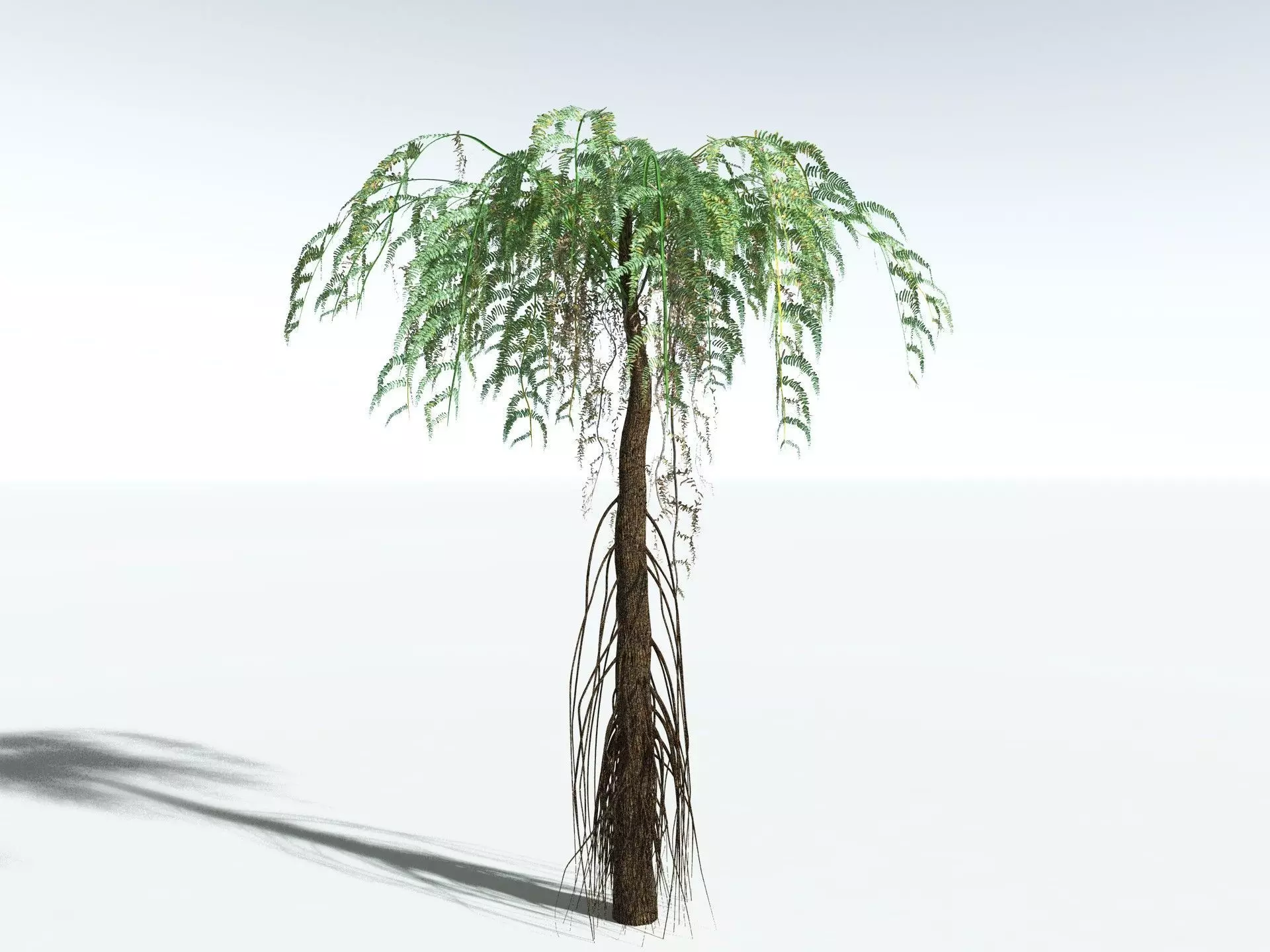 EVERYPlant Psaronius Simplex LowPoly Low-poly 3D model_14