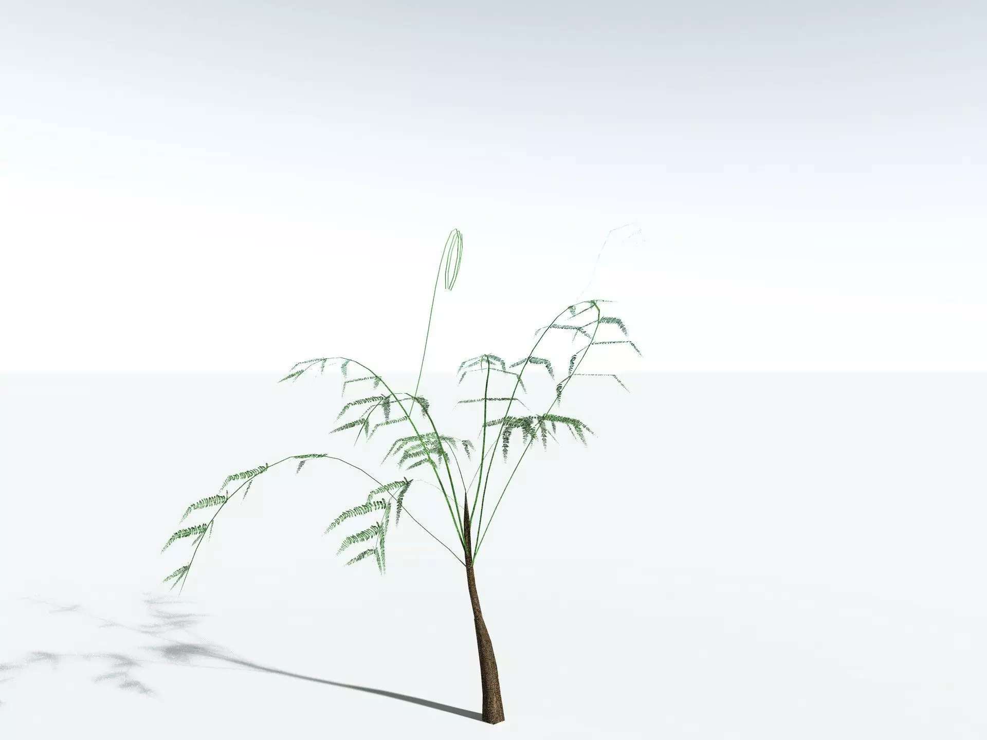 EVERYPlant Psaronius Simplex LowPoly Low-poly 3D model_27