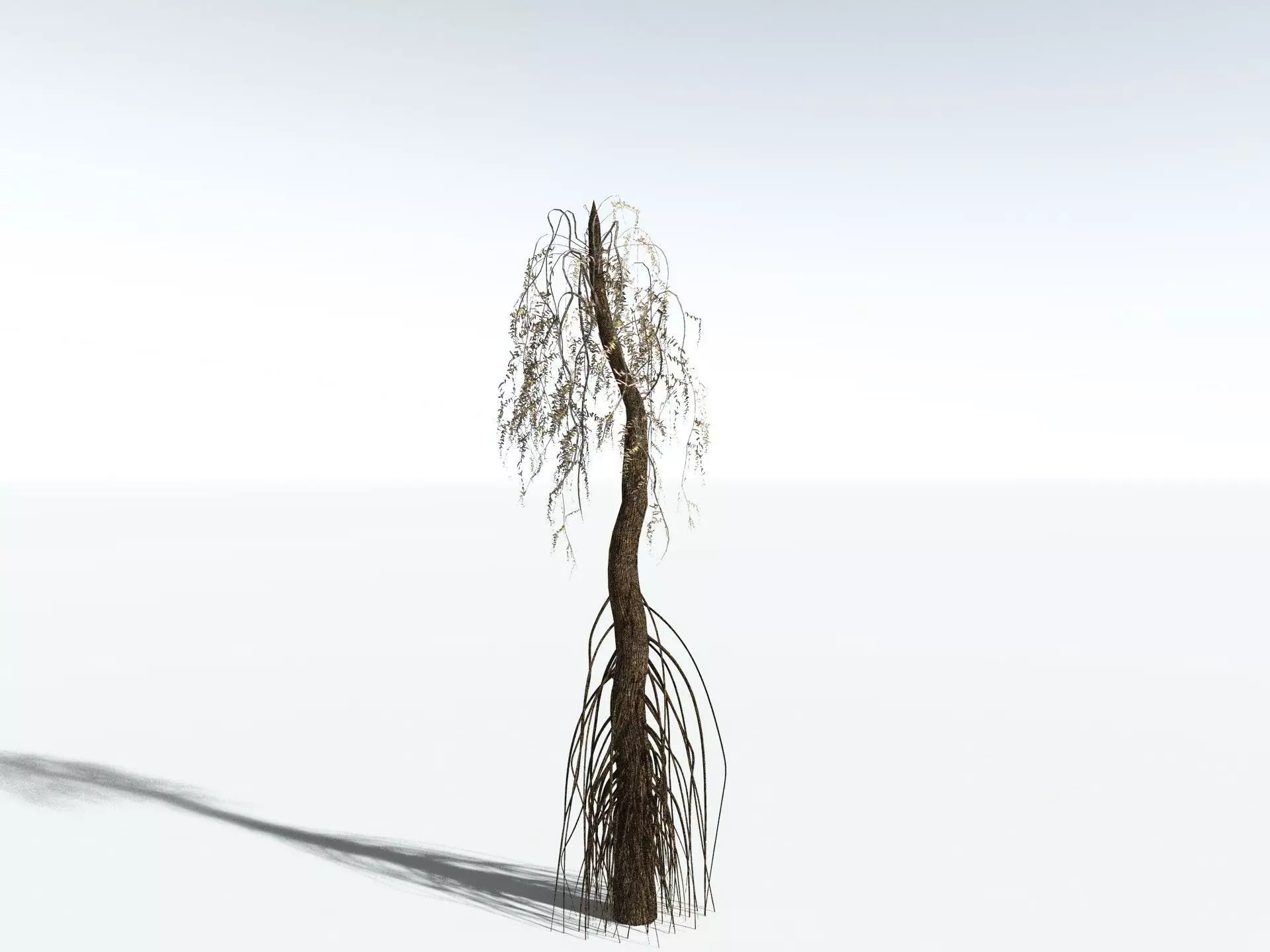 EVERYPlant Psaronius Simplex LowPoly Low-poly 3D model_18