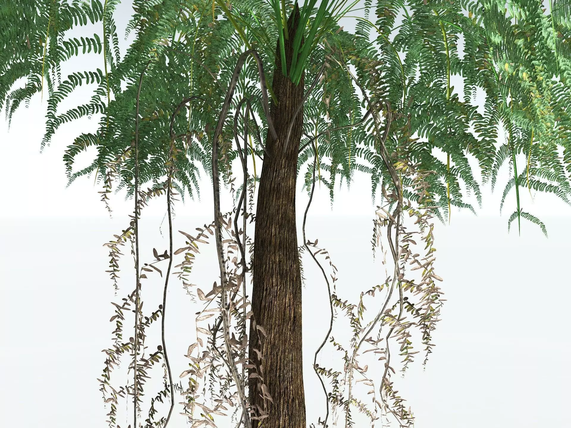 EVERYPlant Psaronius Simplex LowPoly Low-poly 3D model_13