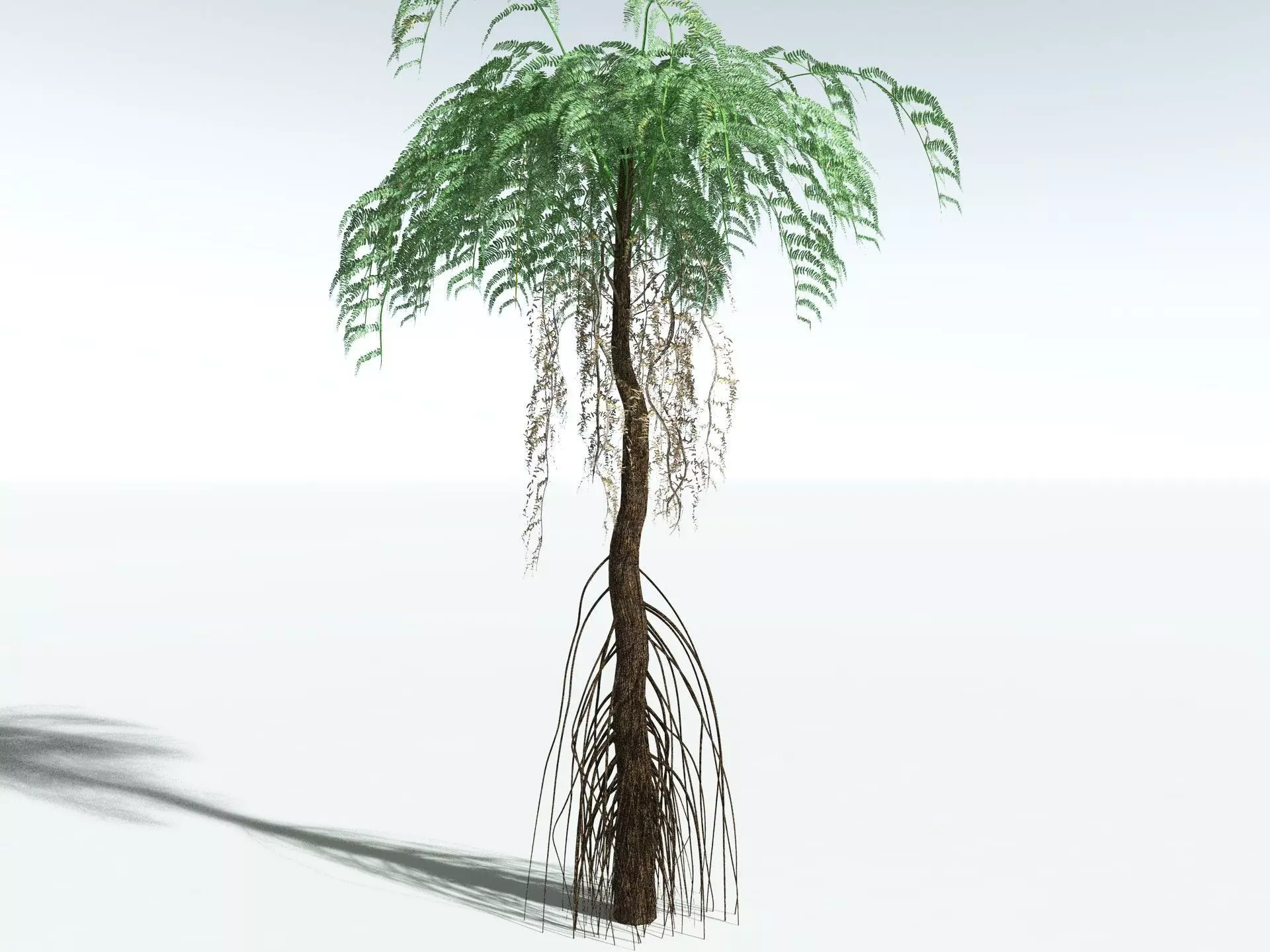 EVERYPlant Psaronius Simplex LowPoly Low-poly 3D model_20