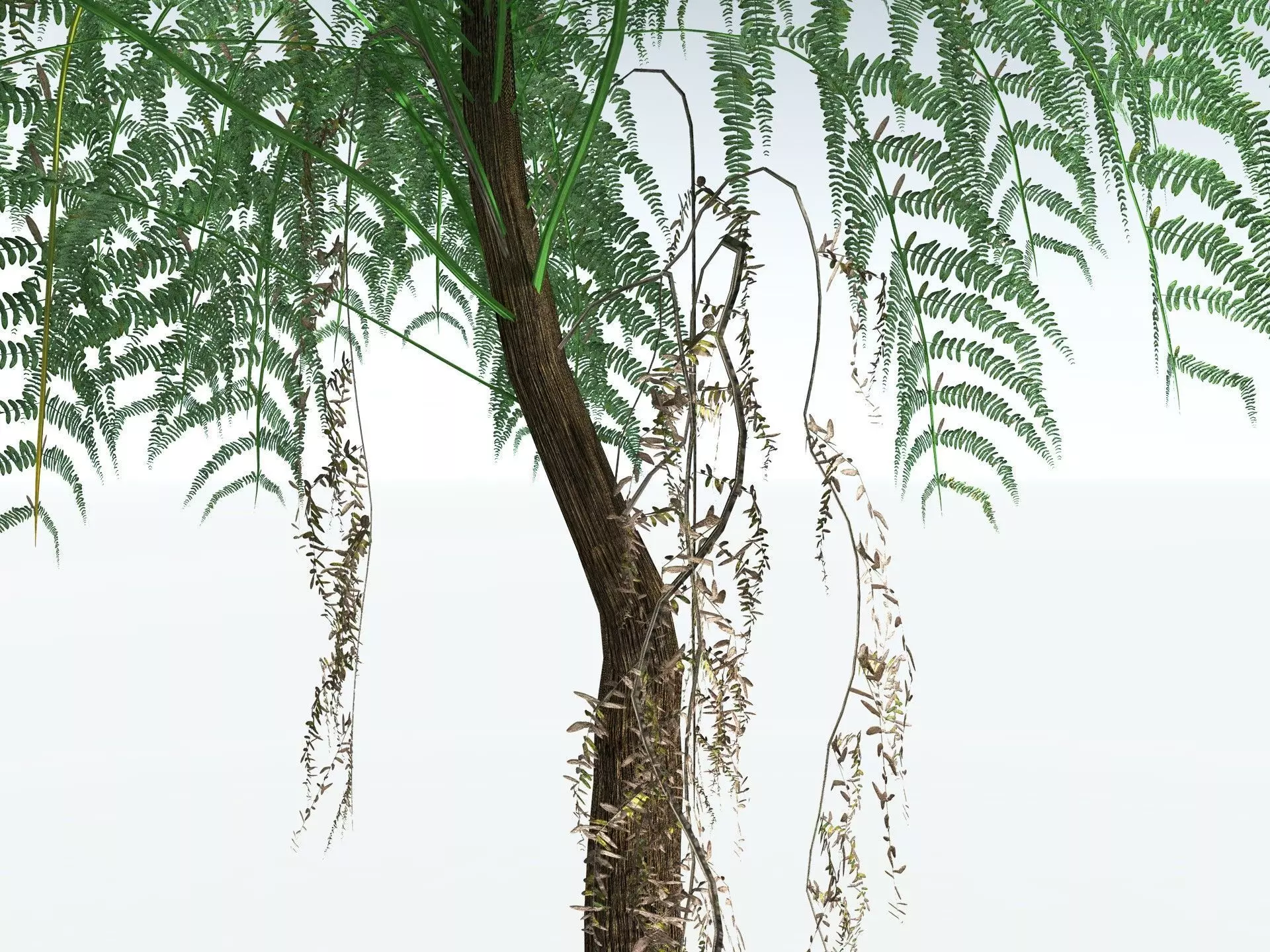 EVERYPlant Psaronius Simplex LowPoly Low-poly 3D model_9