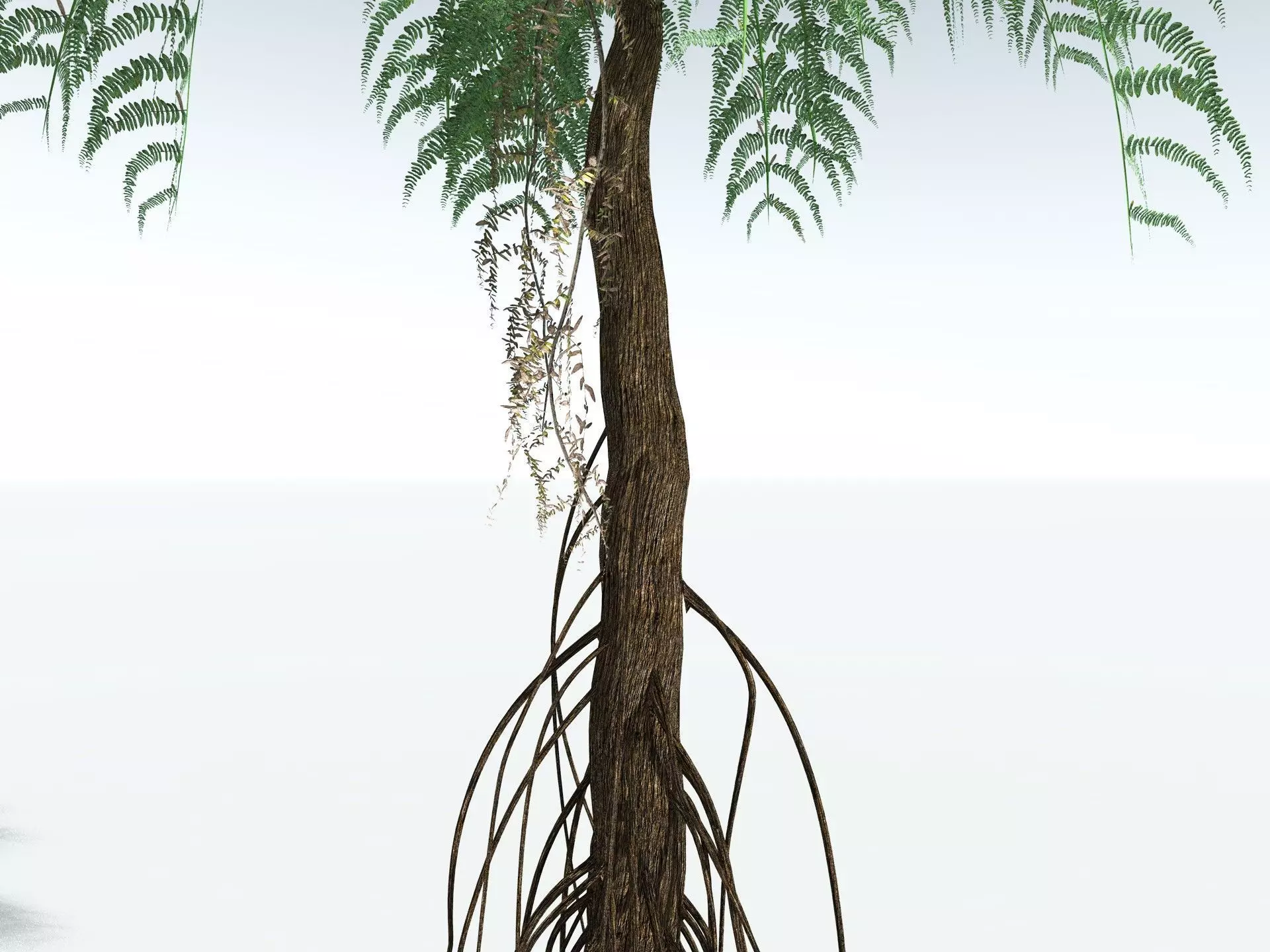 EVERYPlant Psaronius Simplex LowPoly Low-poly 3D model_7