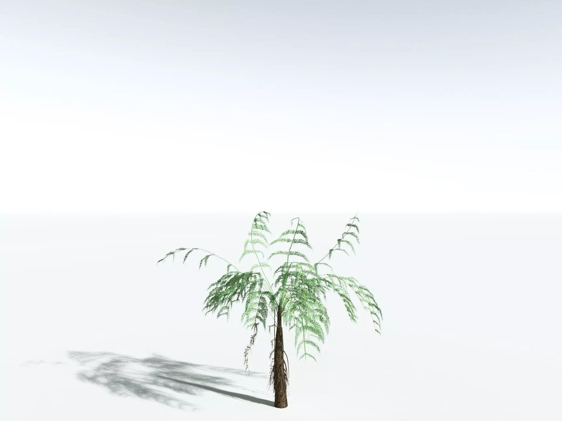 EVERYPlant Psaronius Simplex LowPoly Low-poly 3D model_24