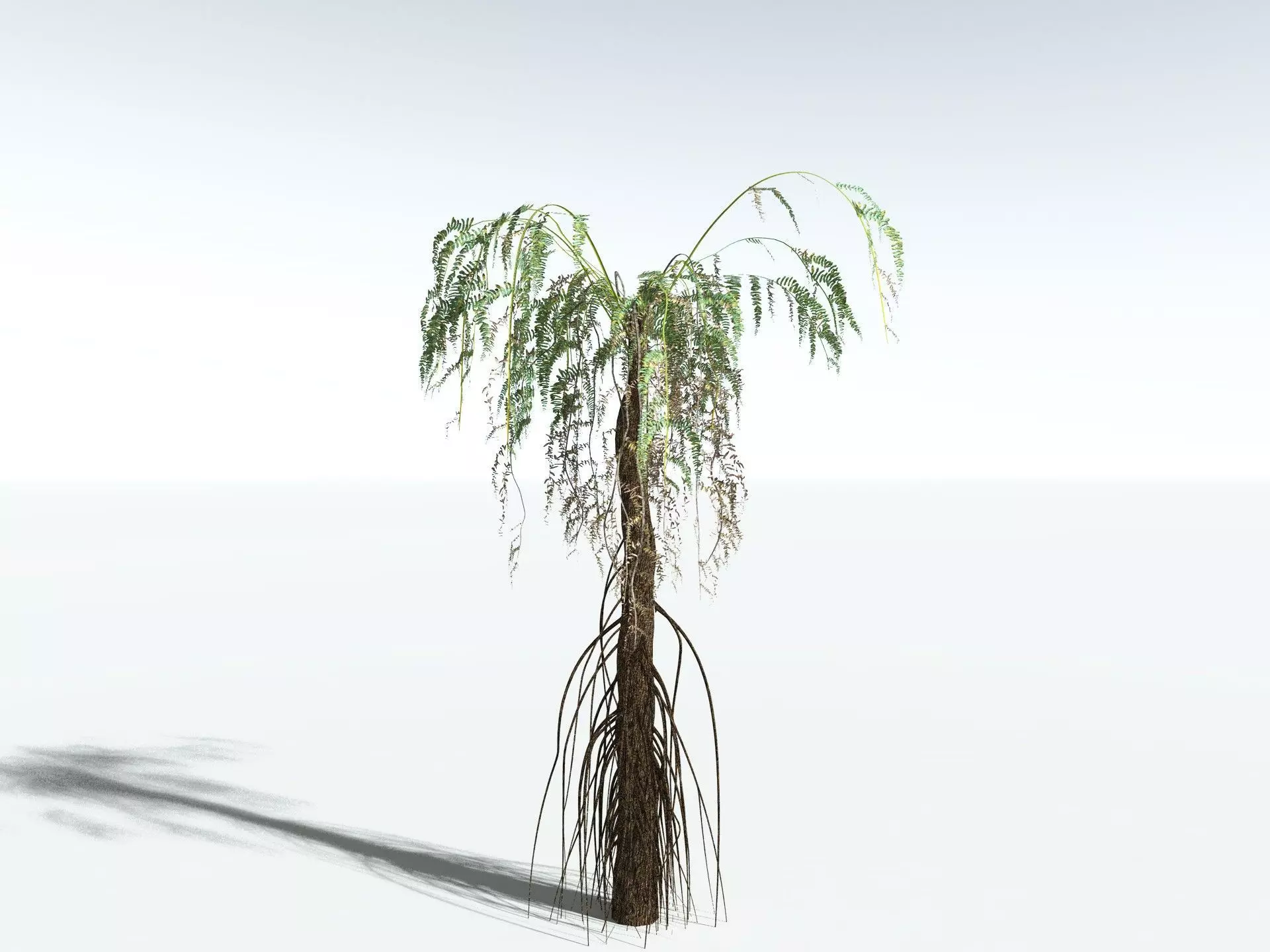 EVERYPlant Psaronius Simplex LowPoly Low-poly 3D model_16