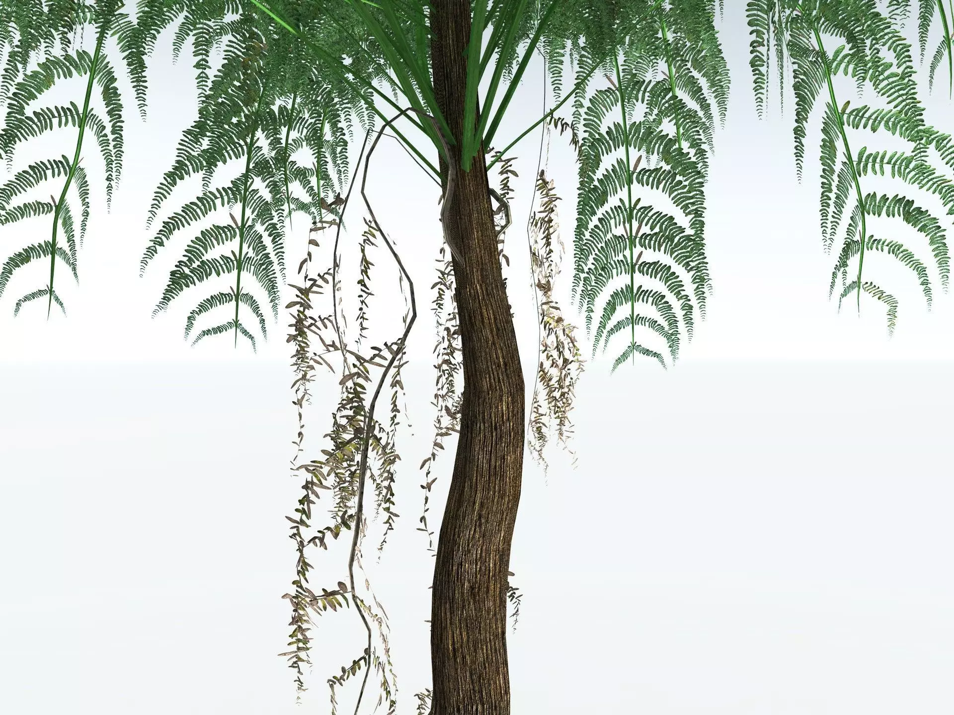 EVERYPlant Psaronius Simplex LowPoly Low-poly 3D model_5