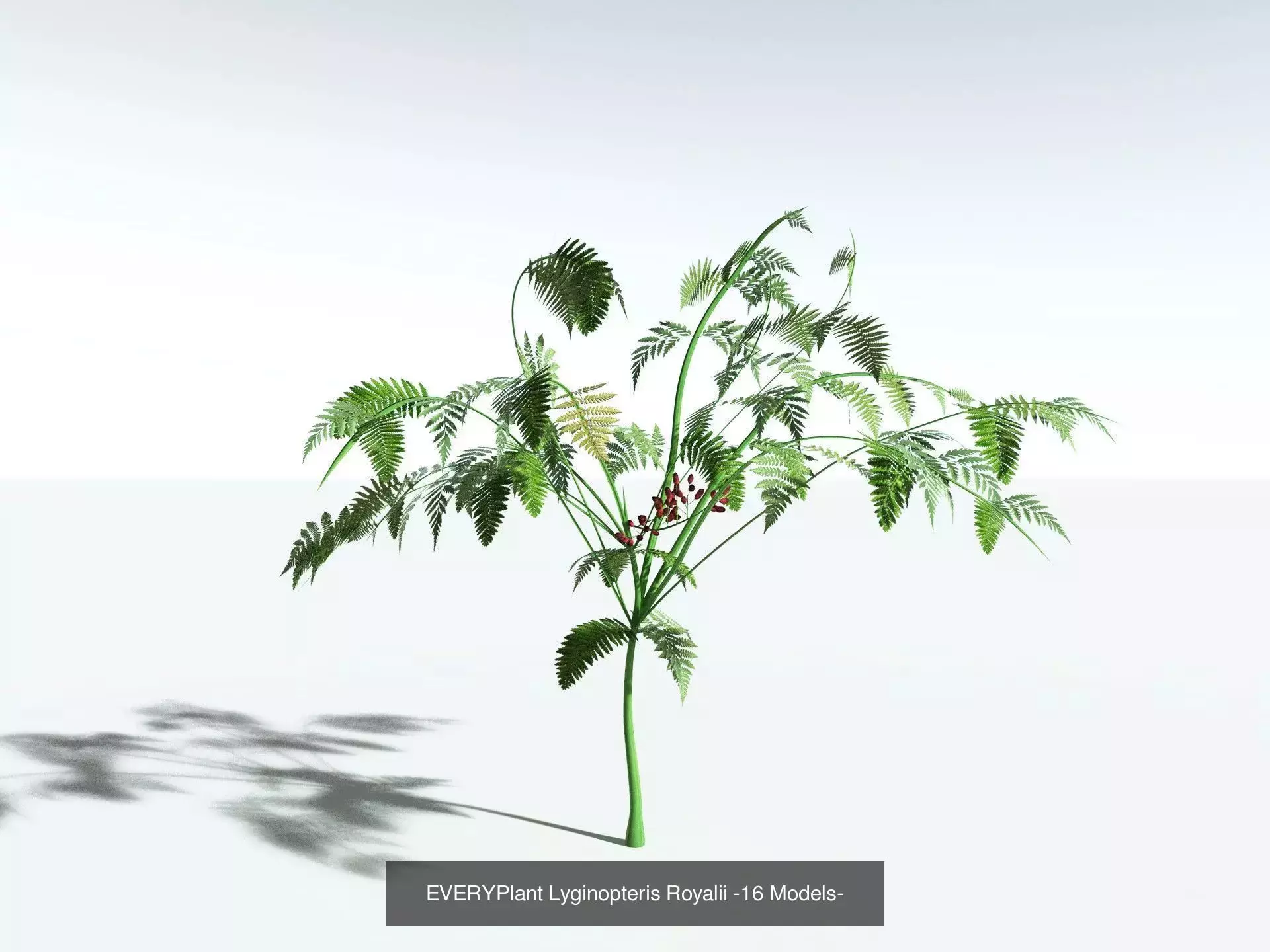 EVERYPlant Carboniferous Biome 3D Model Collection_11