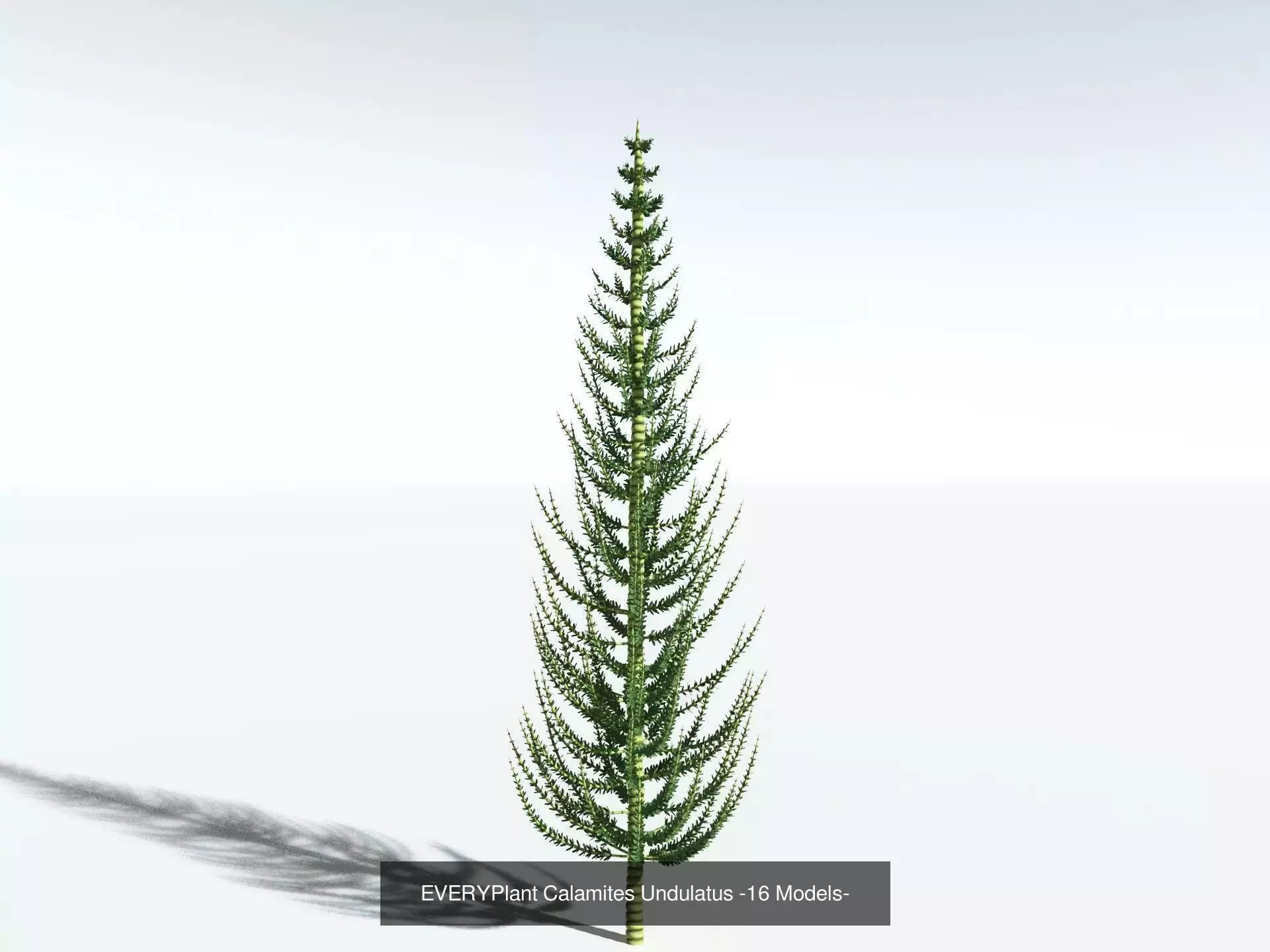 EVERYPlant Carboniferous Biome 3D Model Collection_5