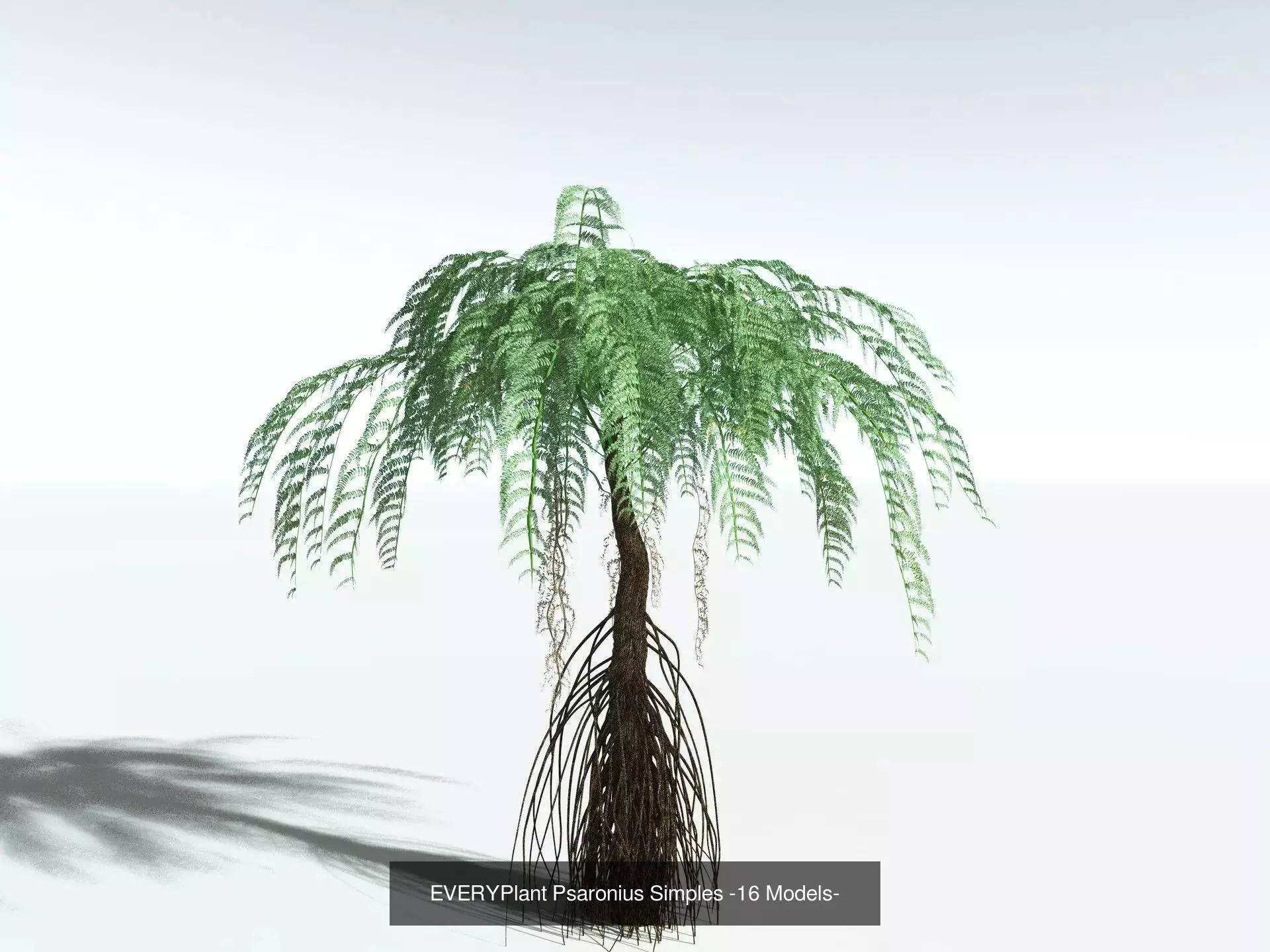 EVERYPlant Carboniferous Biome 3D Model Collection_12