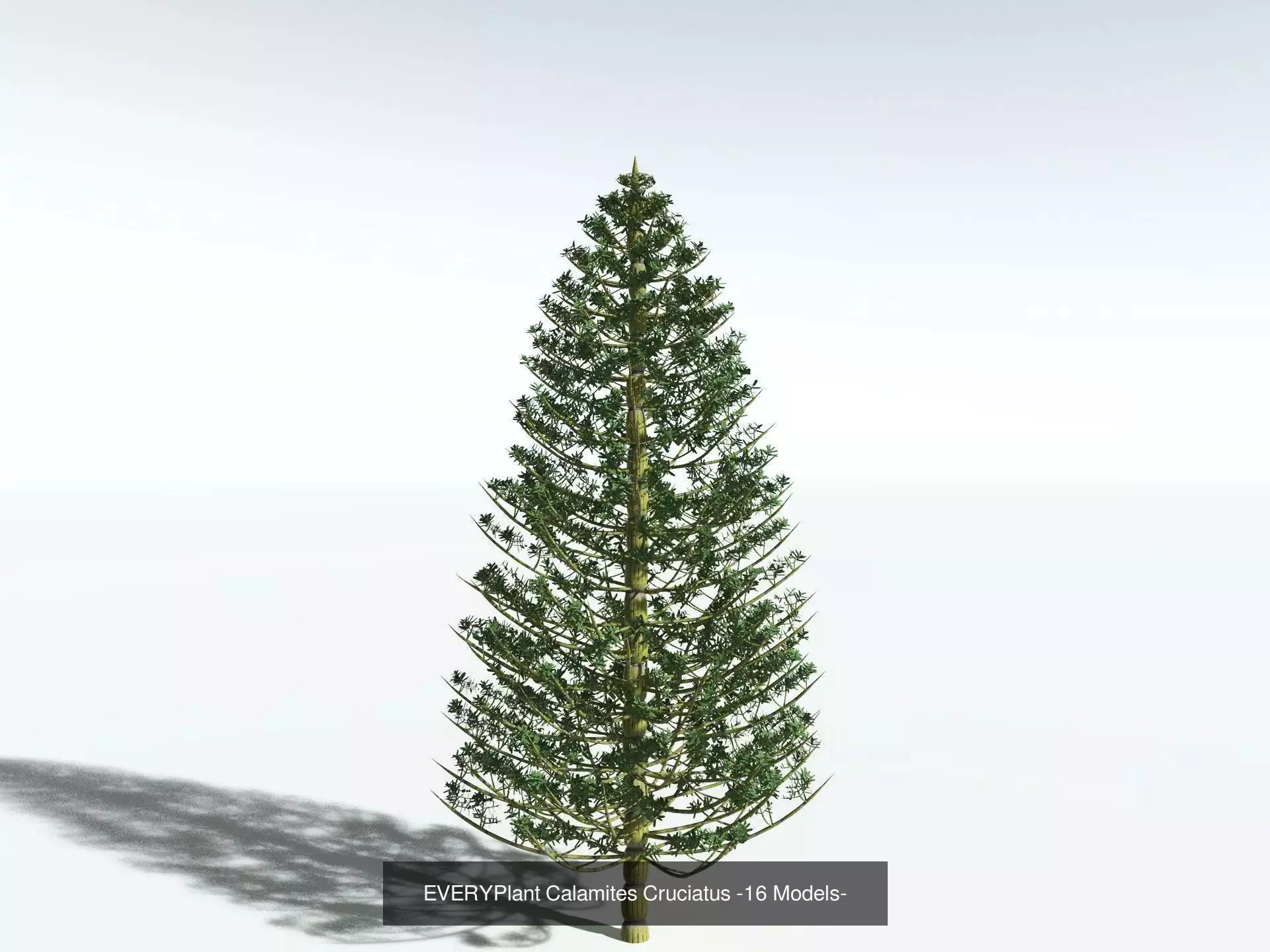 EVERYPlant Carboniferous Biome 3D Model Collection_7