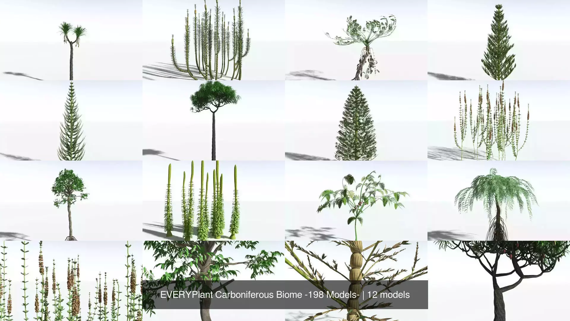 EVERYPlant Carboniferous Biome 3D Model Collection_0