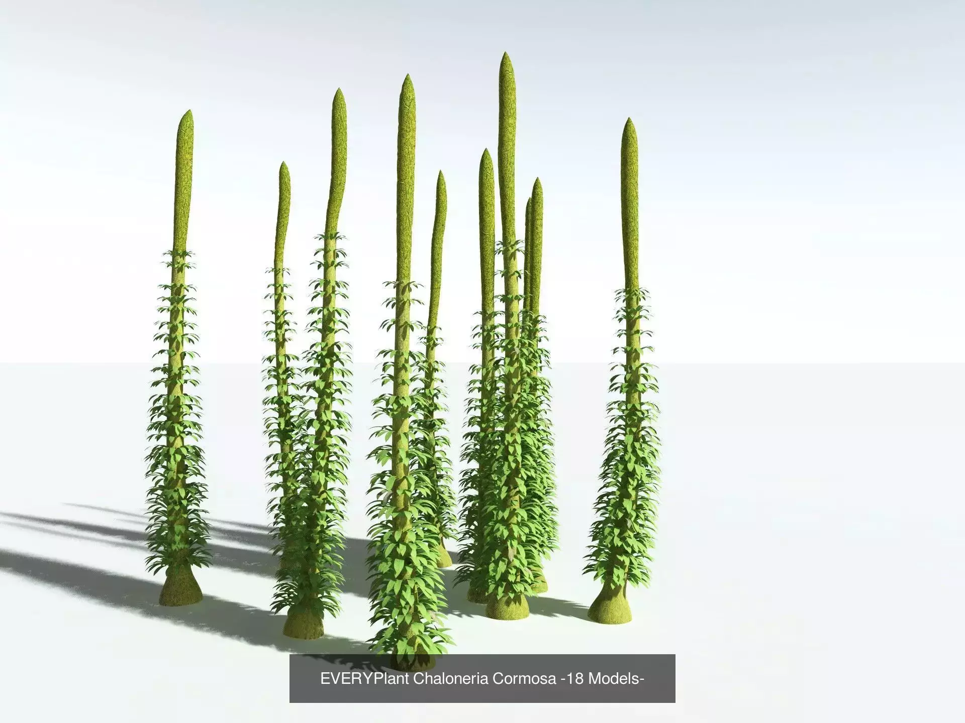 EVERYPlant Carboniferous Biome 3D Model Collection_10