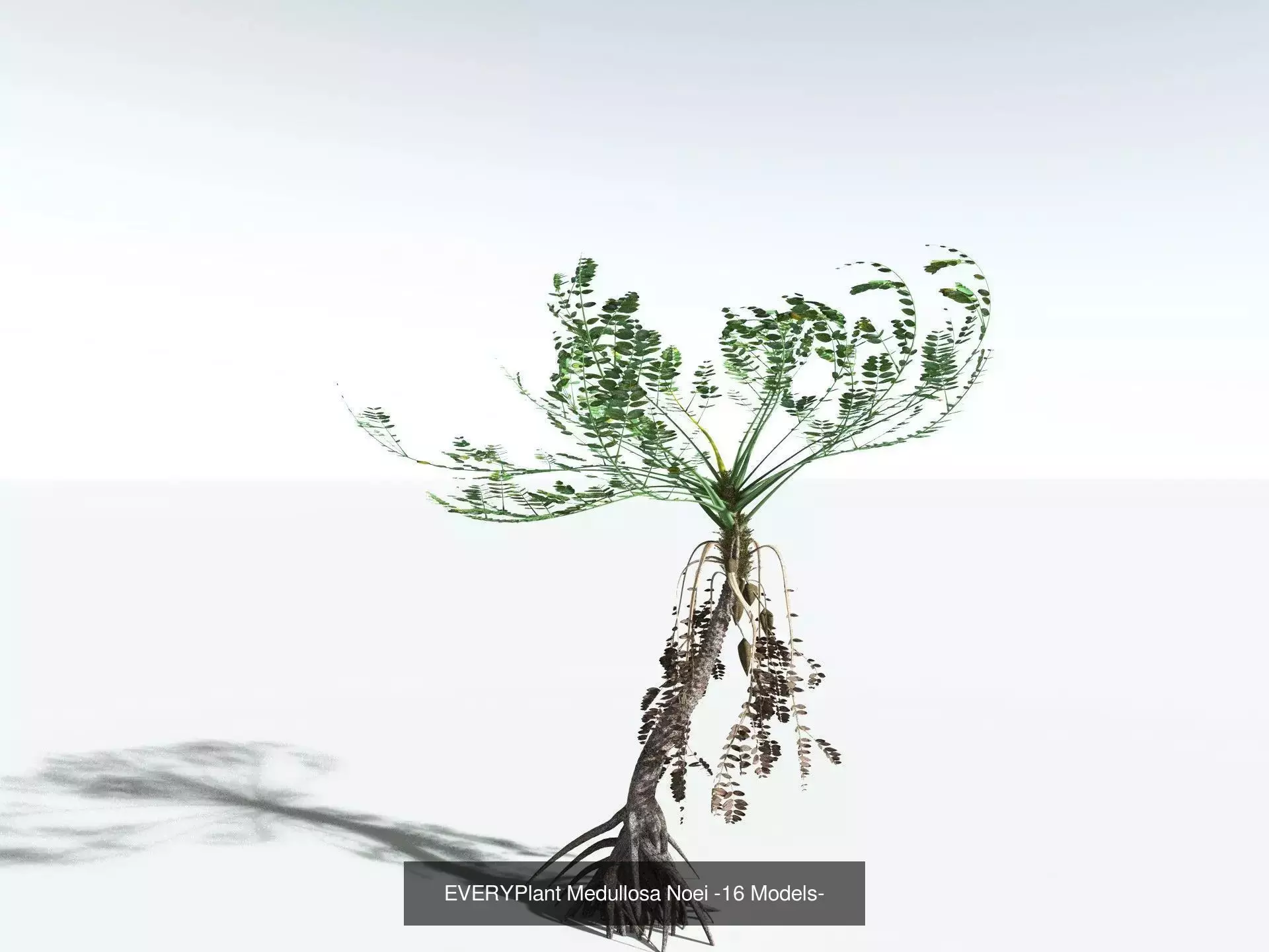 EVERYPlant Carboniferous Biome 3D Model Collection_3