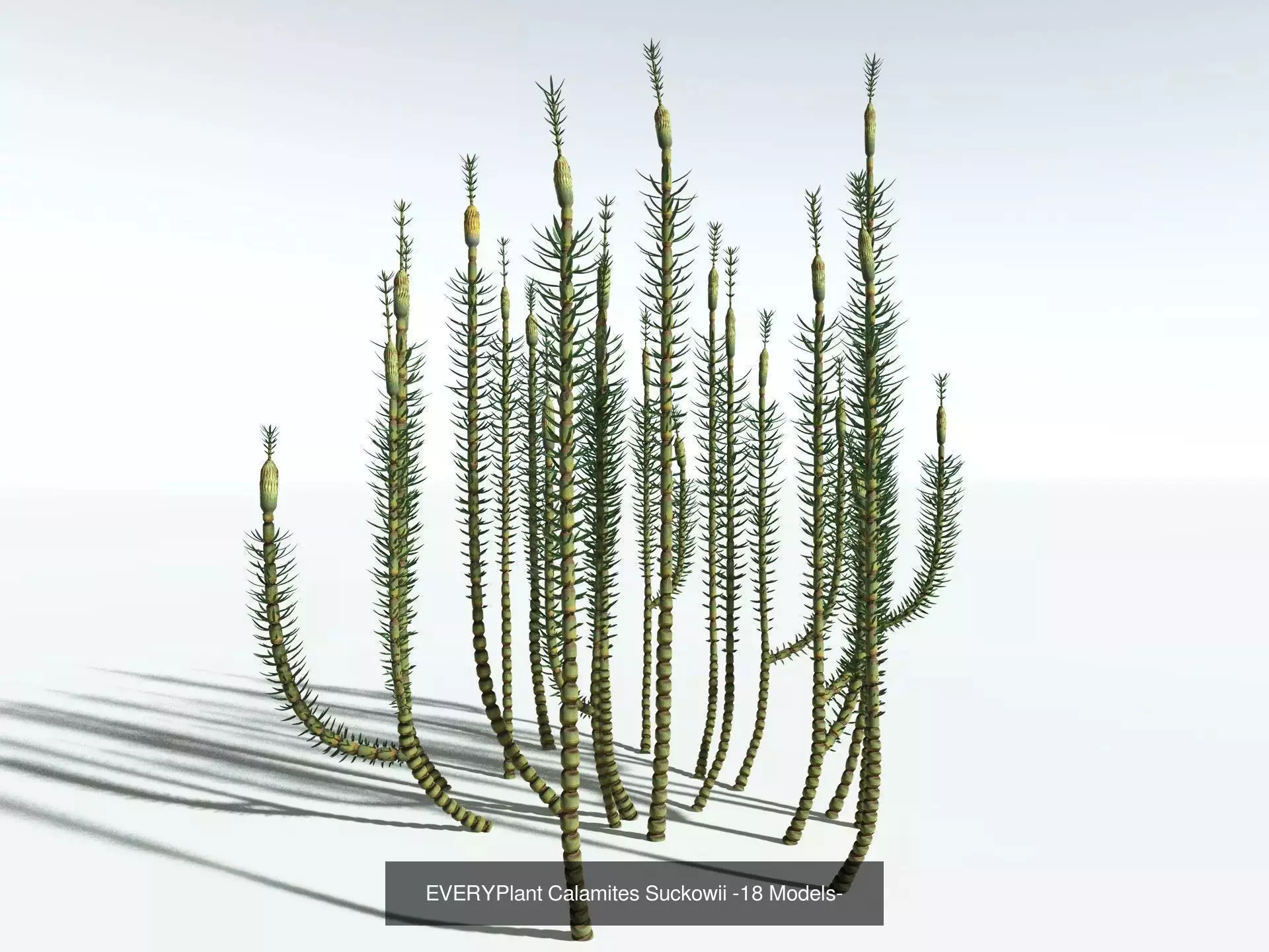 EVERYPlant Carboniferous Biome 3D Model Collection_2