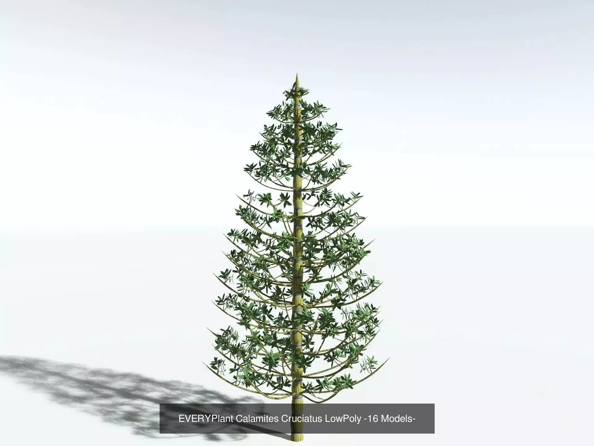 EVERYPlant Carboniferous Biome LowPoly 3D Model Collection_7