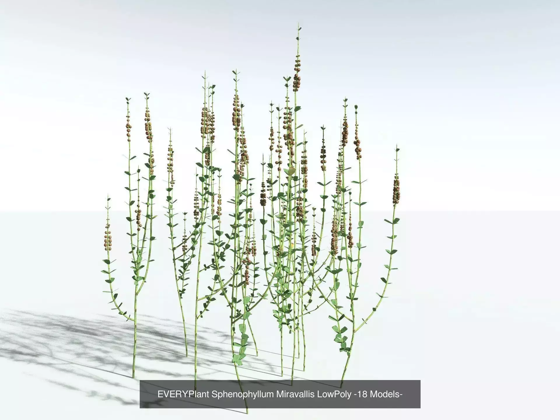 EVERYPlant Carboniferous Biome LowPoly 3D Model Collection_8