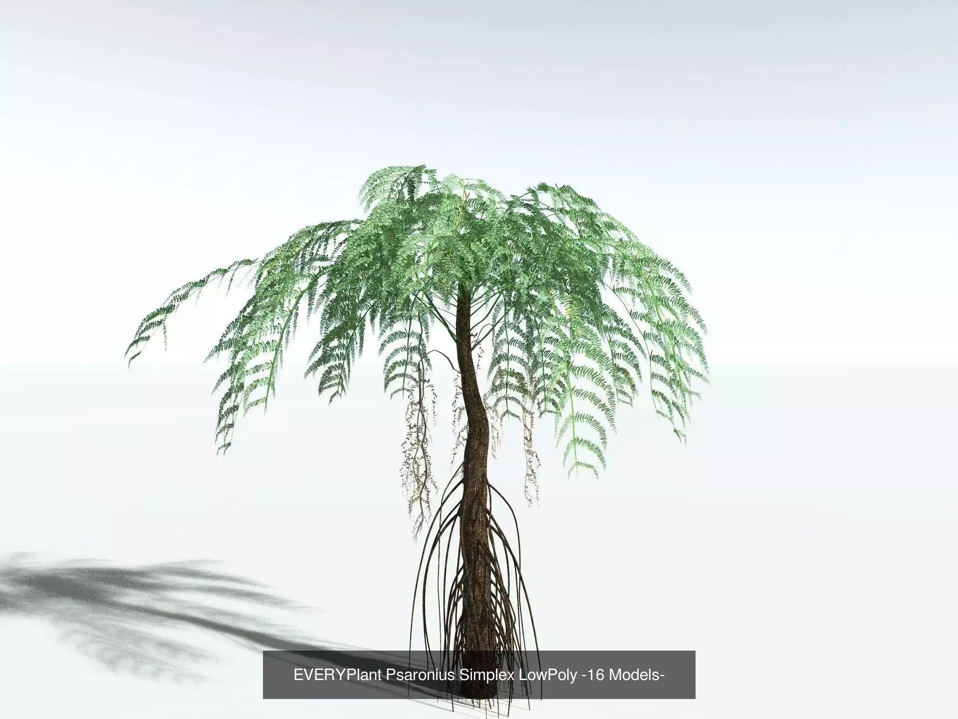 EVERYPlant Carboniferous Biome LowPoly 3D Model Collection_12