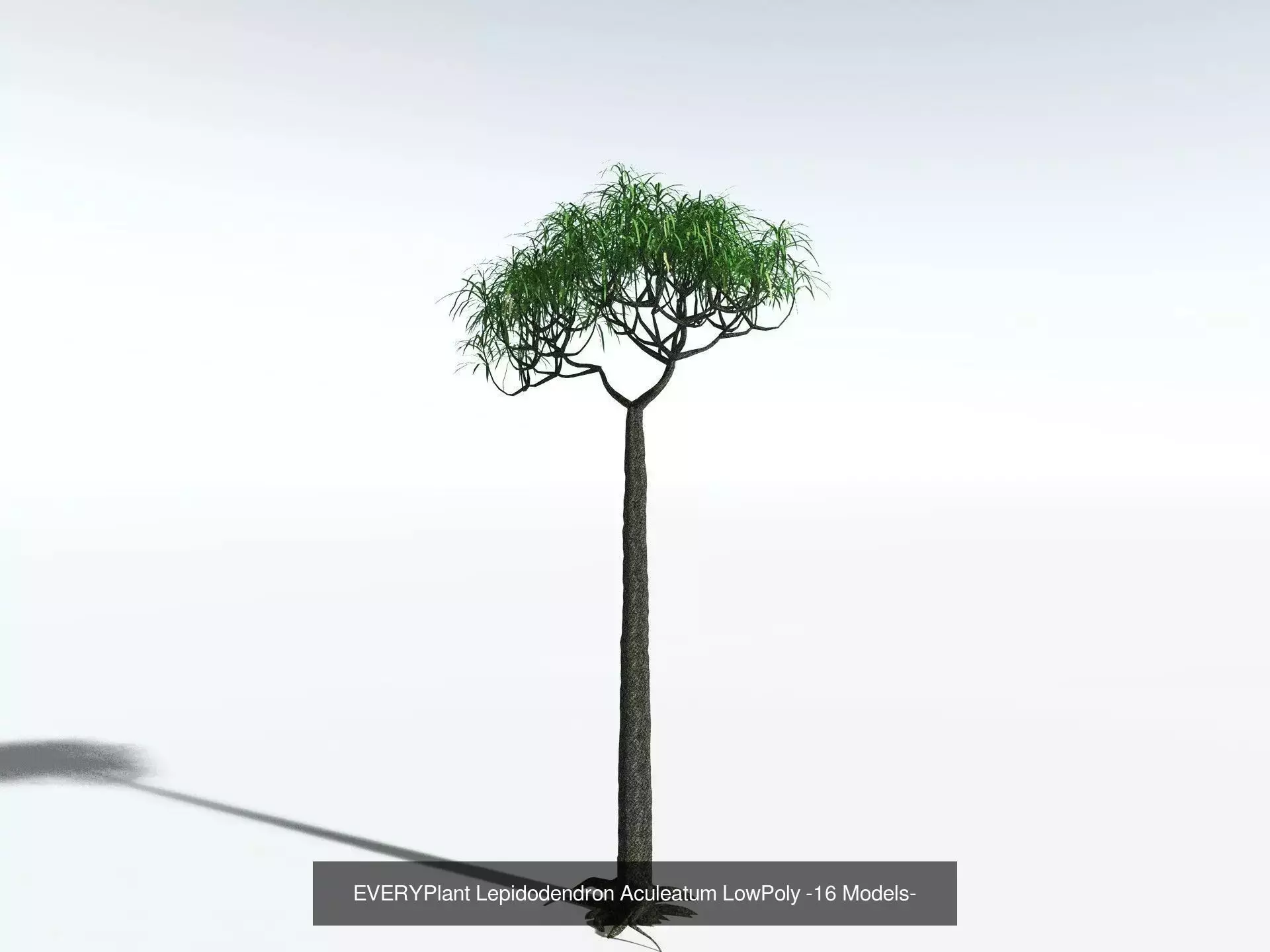 EVERYPlant Carboniferous Biome LowPoly 3D Model Collection_6