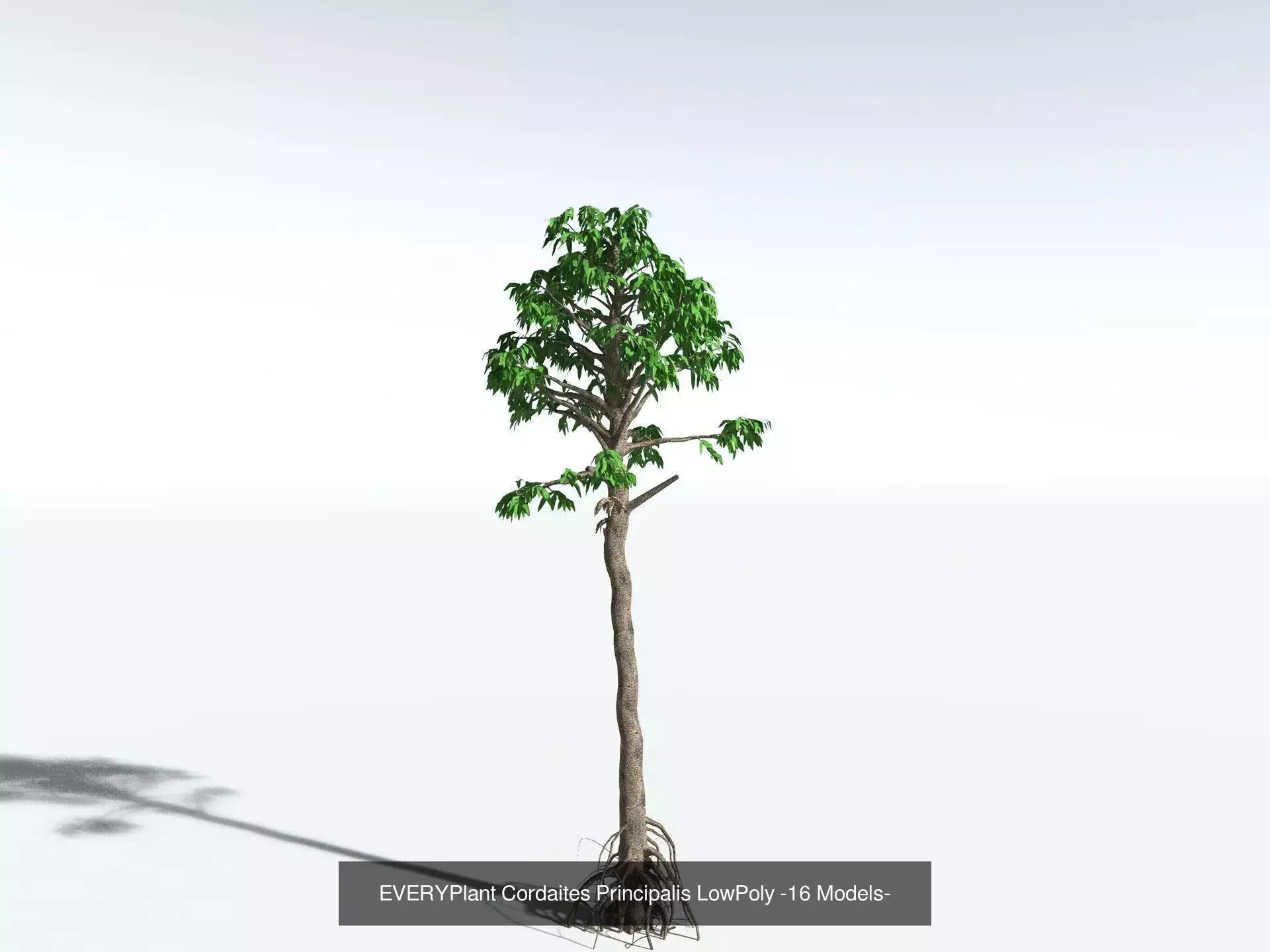 EVERYPlant Carboniferous Biome LowPoly 3D Model Collection_9