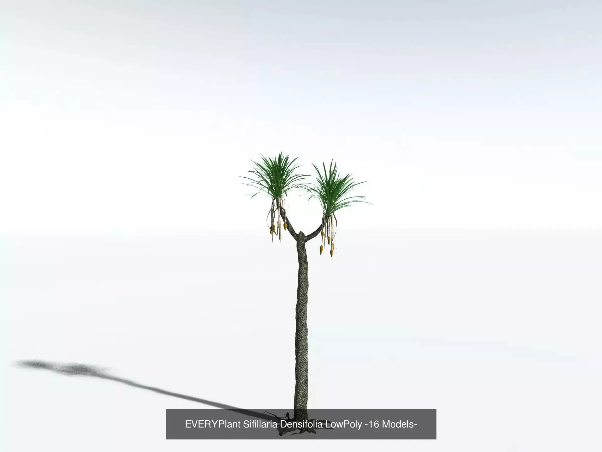 EVERYPlant Carboniferous Biome LowPoly 3D Model Collection_1