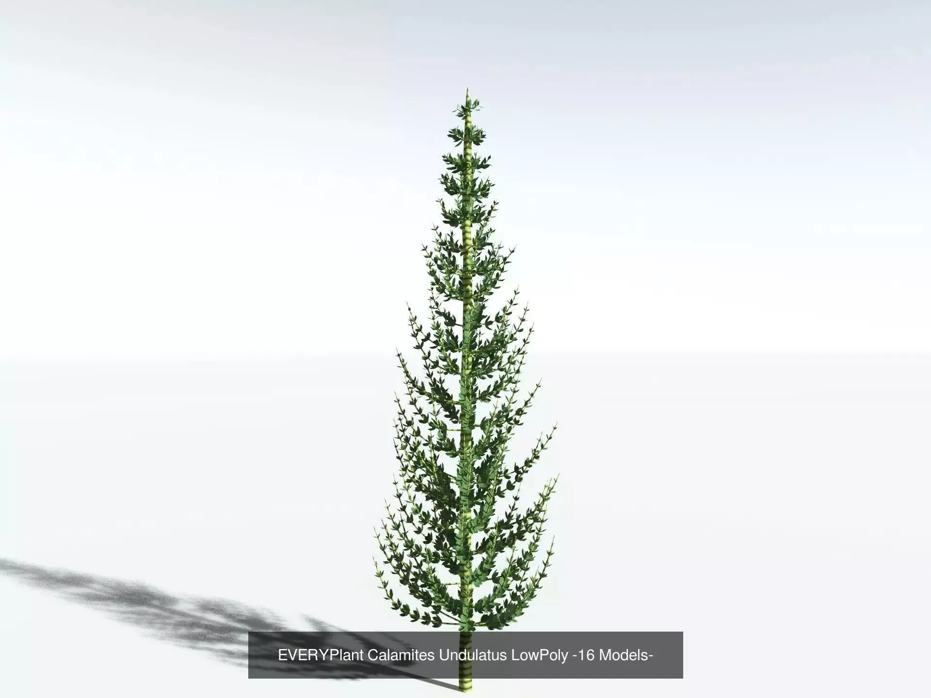 EVERYPlant Carboniferous Biome LowPoly 3D Model Collection_5