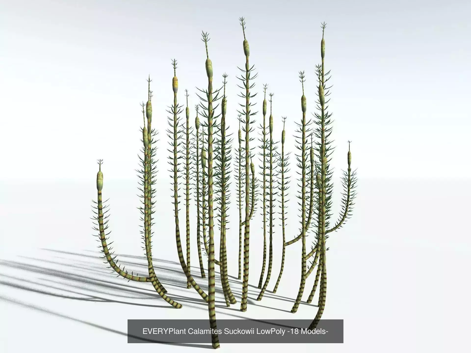 EVERYPlant Carboniferous Biome LowPoly 3D Model Collection_2