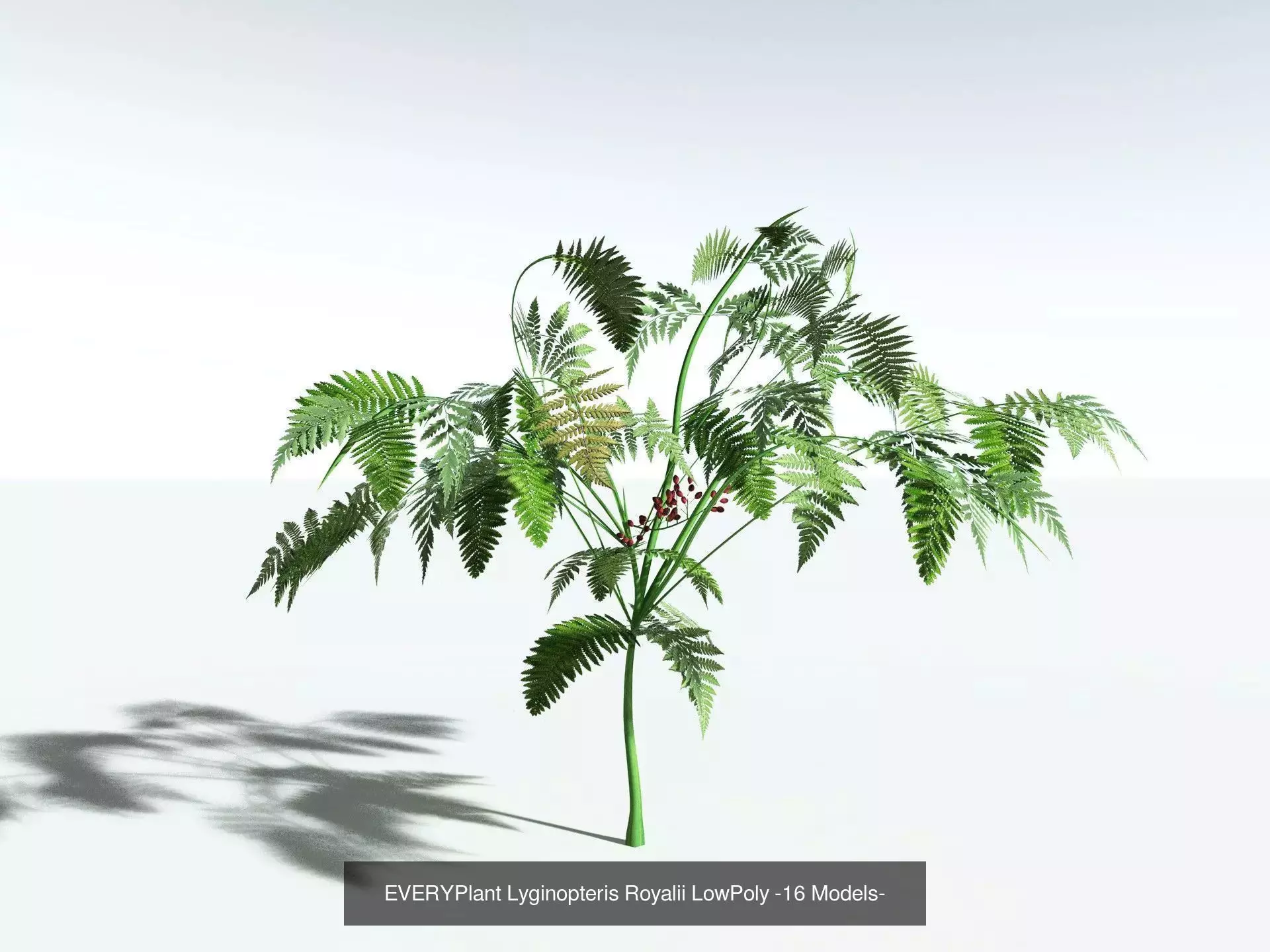 EVERYPlant Carboniferous Biome LowPoly 3D Model Collection_11