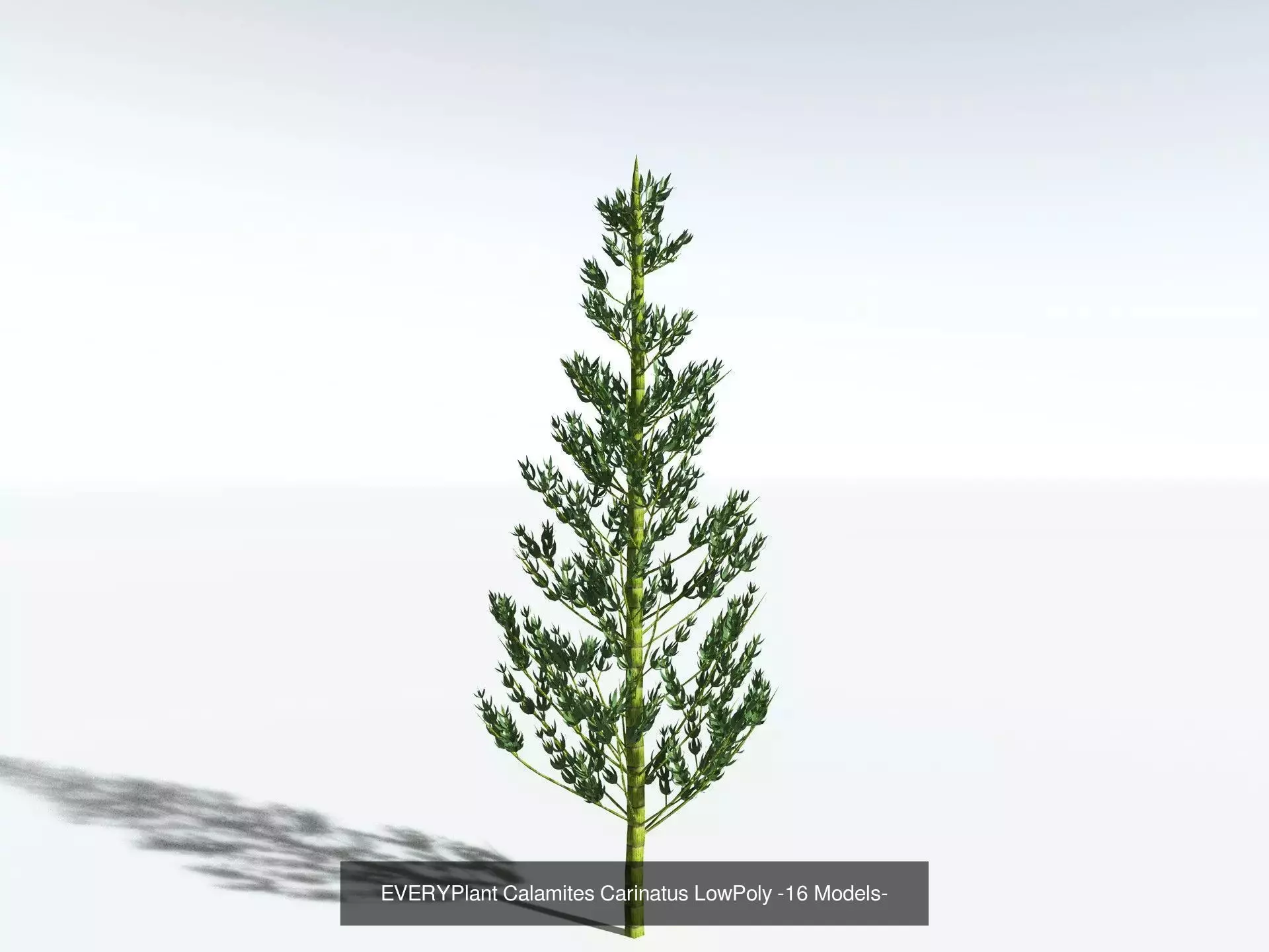 EVERYPlant Carboniferous Biome LowPoly 3D Model Collection_4