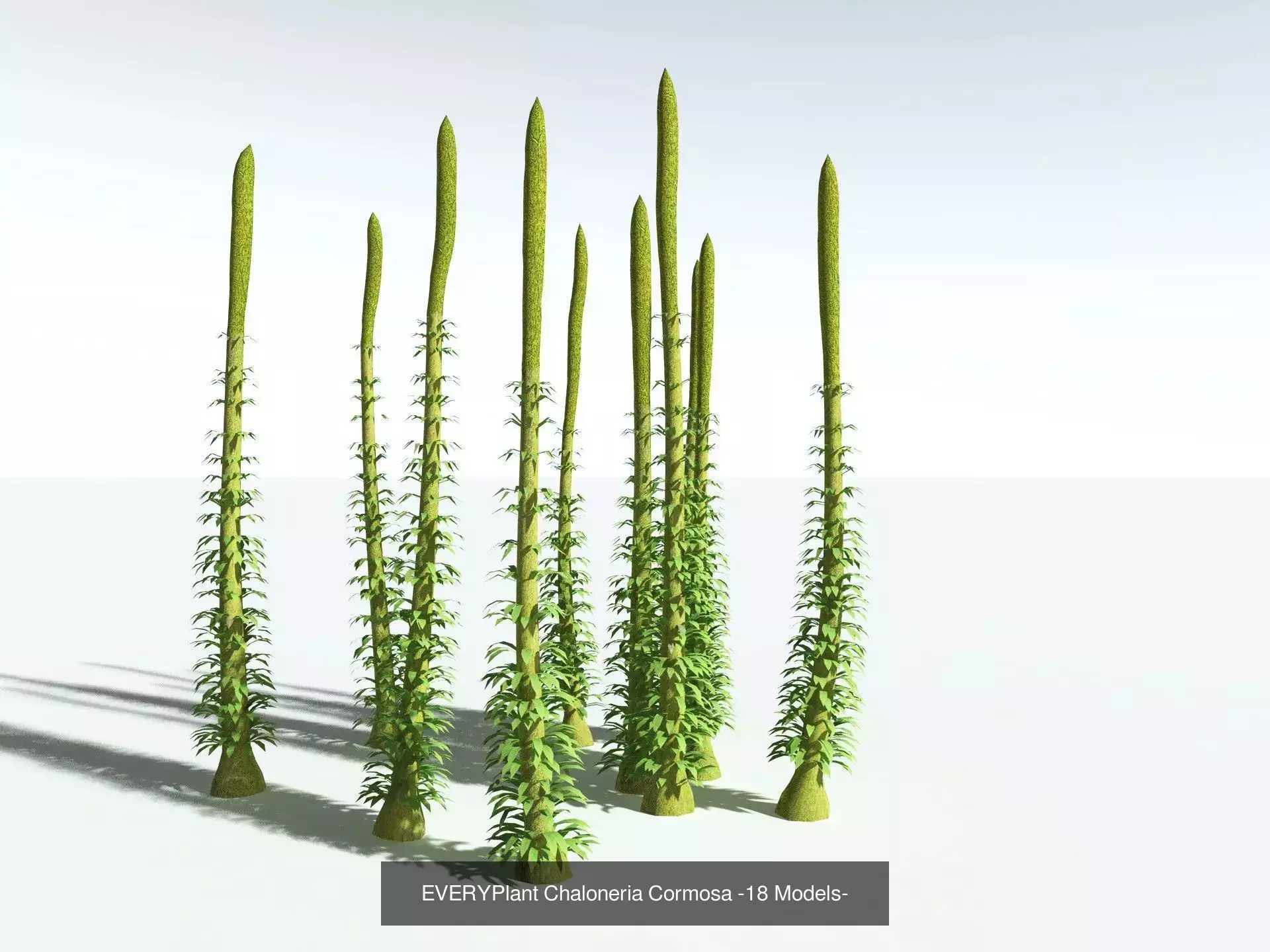 EVERYPlant Carboniferous Biome LowPoly 3D Model Collection_10