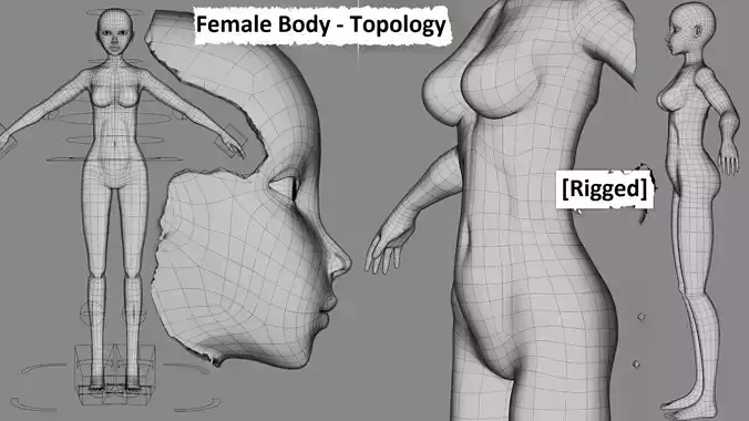 Female Body Animation Ready Topology Low-poly 3D model