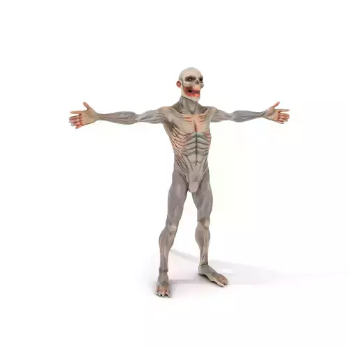 Creature Model Pack with Realistic Textures Low-poly 3D model